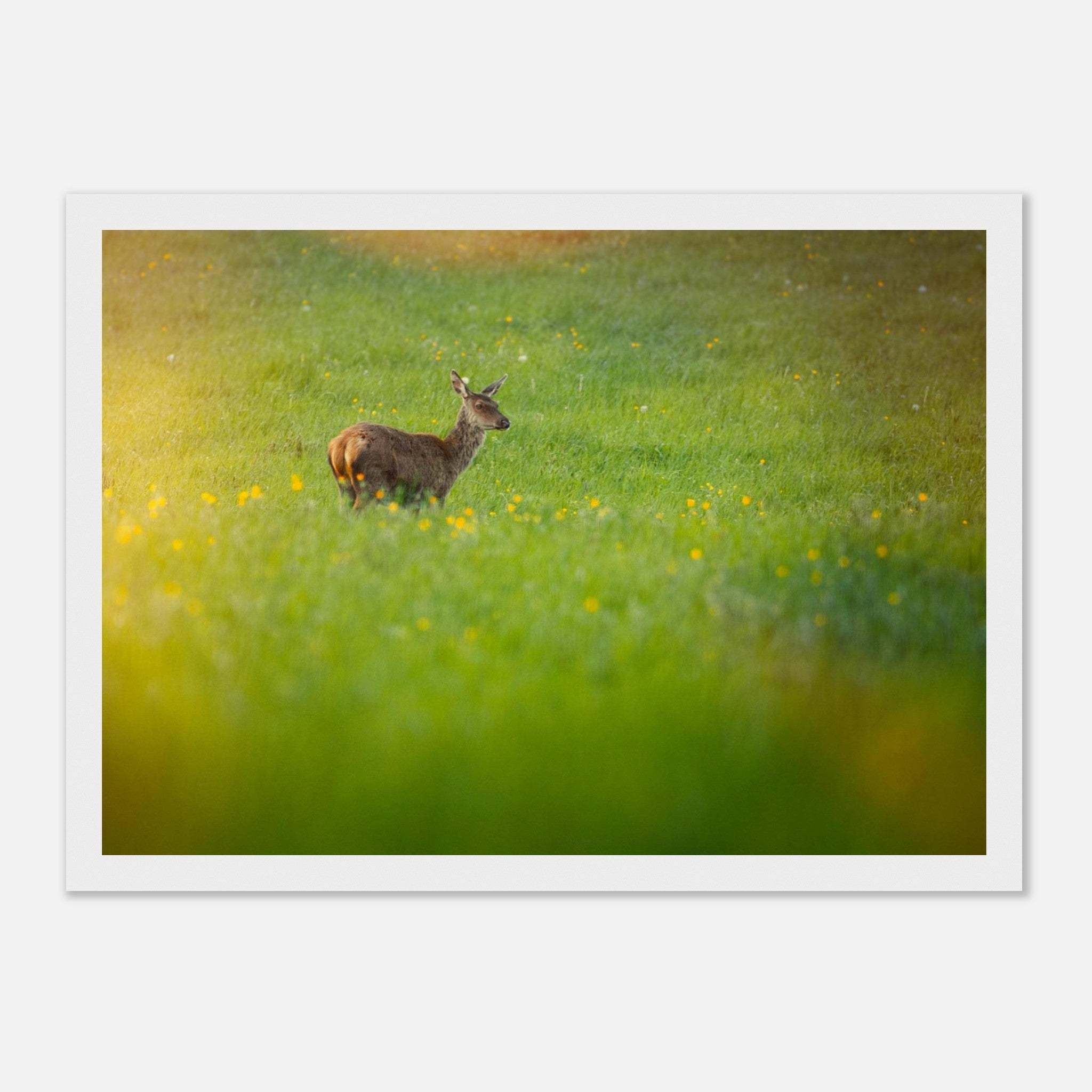 ba739a1a-cb61-45c9-95bb-d79f9d0b607b