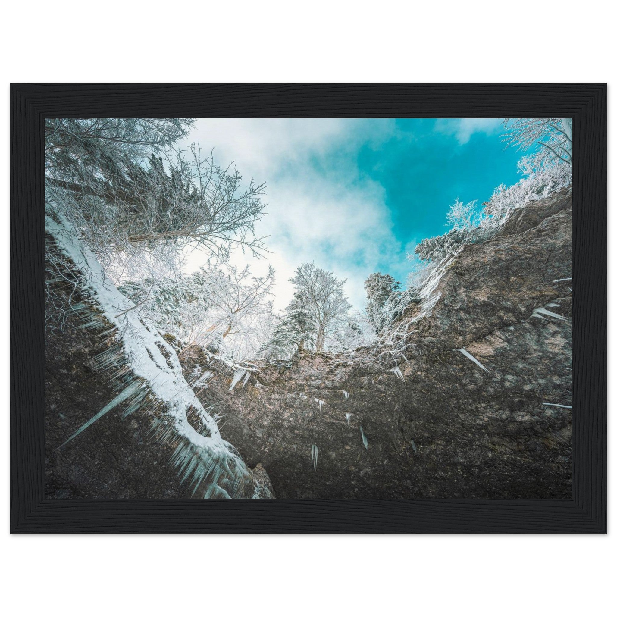 baa2d109-5d90-4bc3-83ec-f8b6c4fcf281