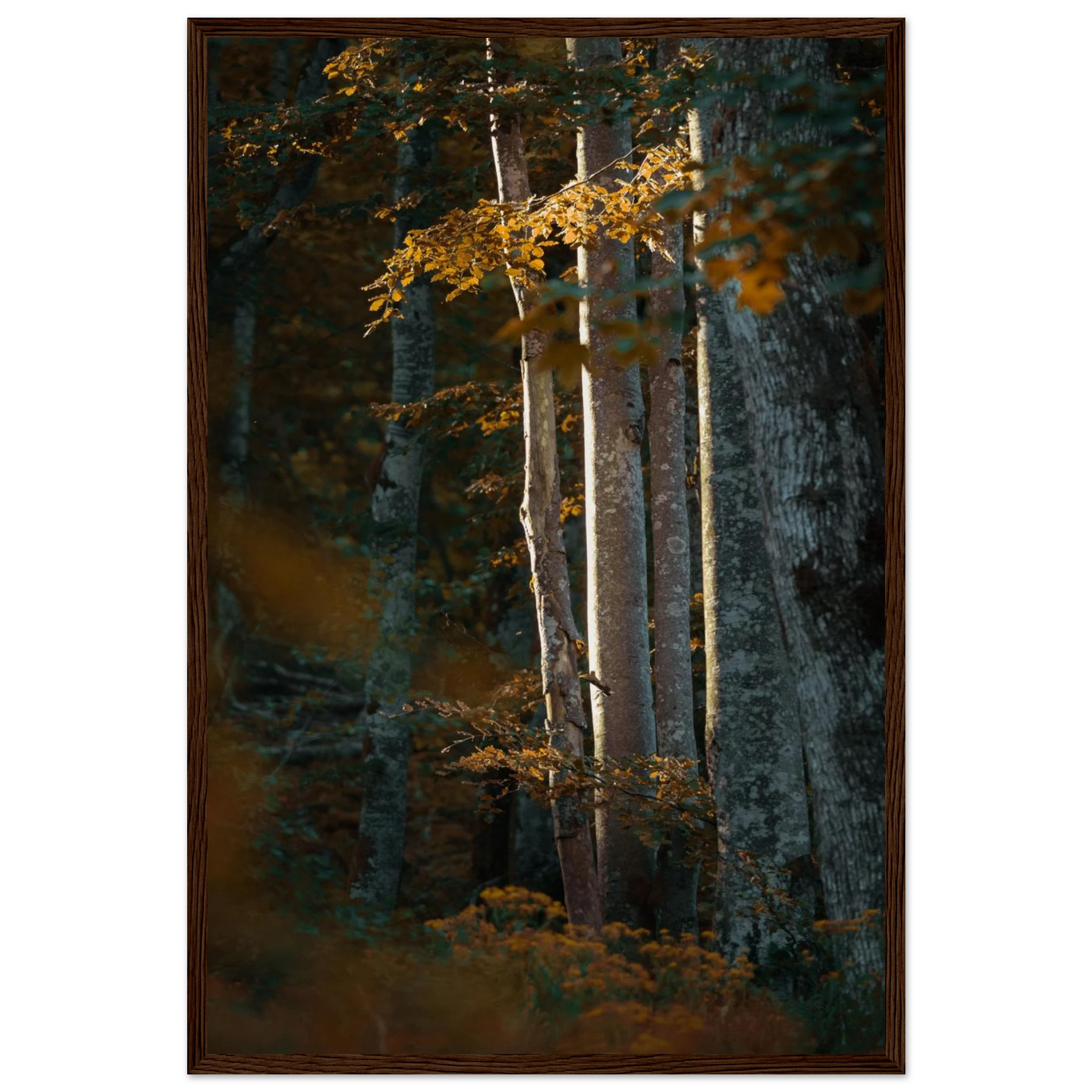 bab8b4dc-de89-4811-8ad9-09a8f481dcee