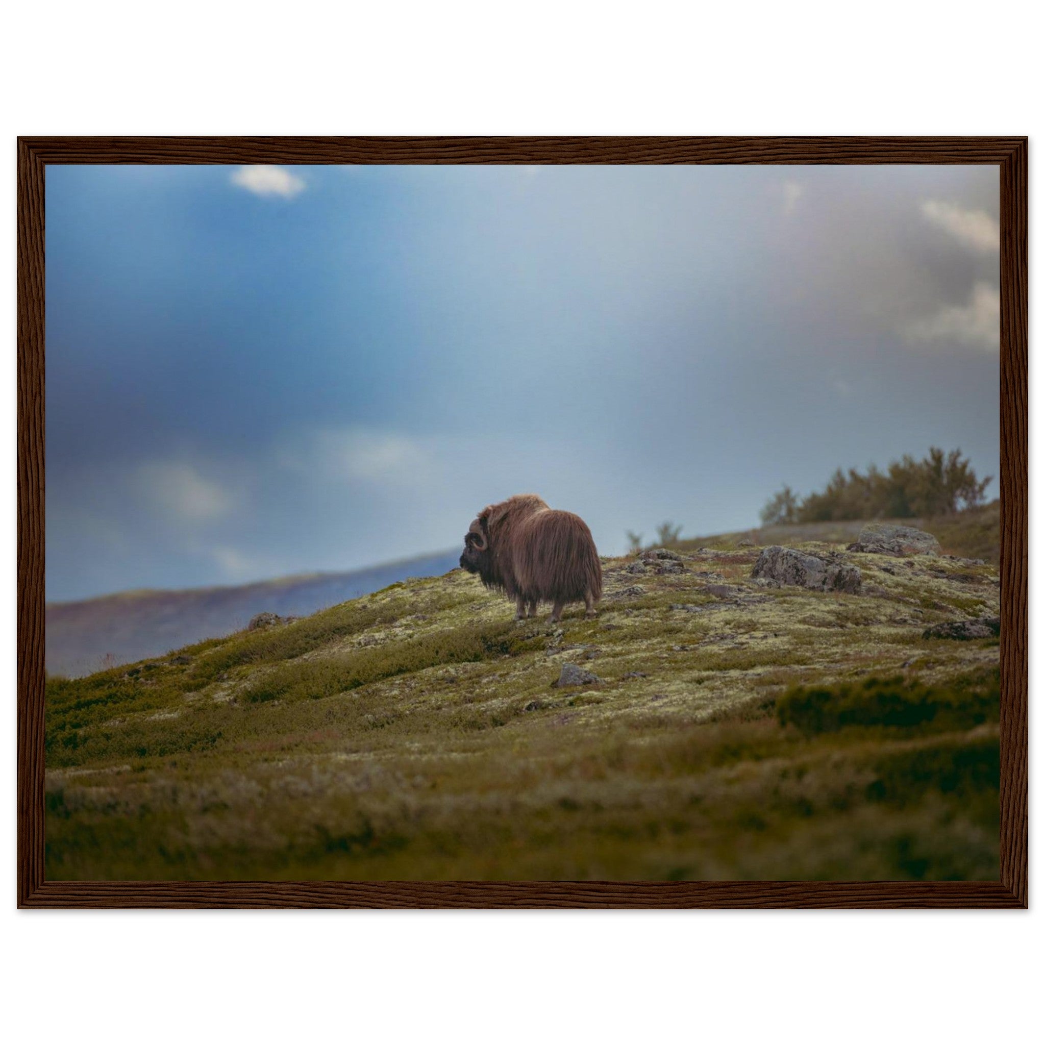 bbadb723-fed8-4f95-aab5-03023c61e921