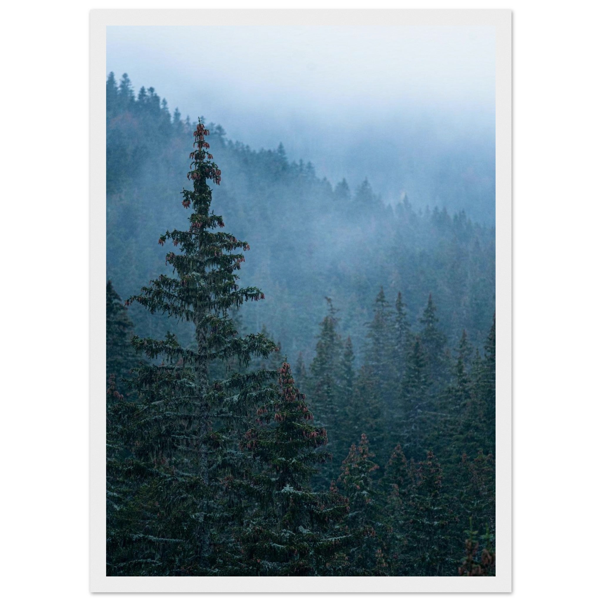 bc2d06b4-7bfe-4d6e-9b72-9051ef386be2