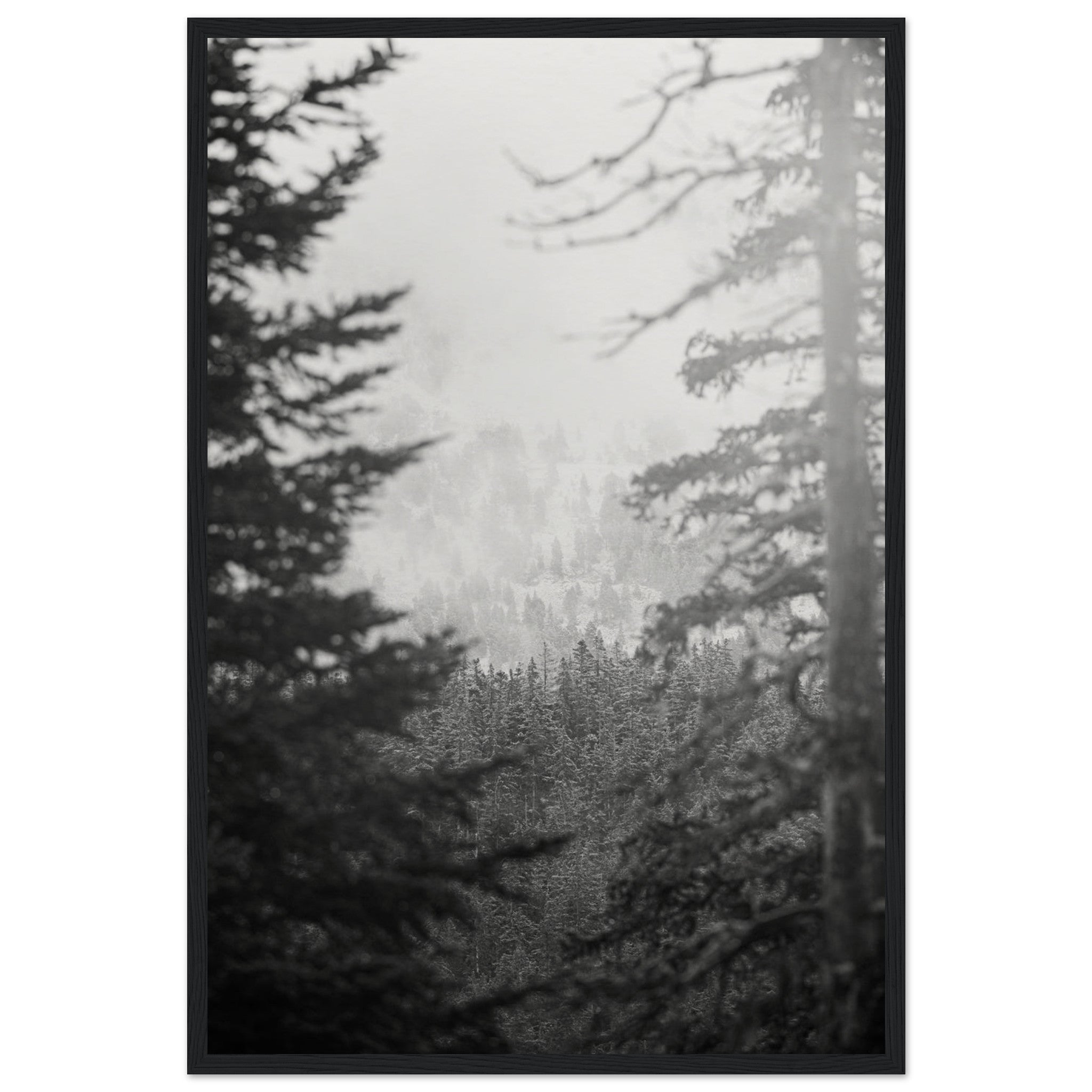 bd2b52c1-f3c7-4a87-a807-722ba5857db8