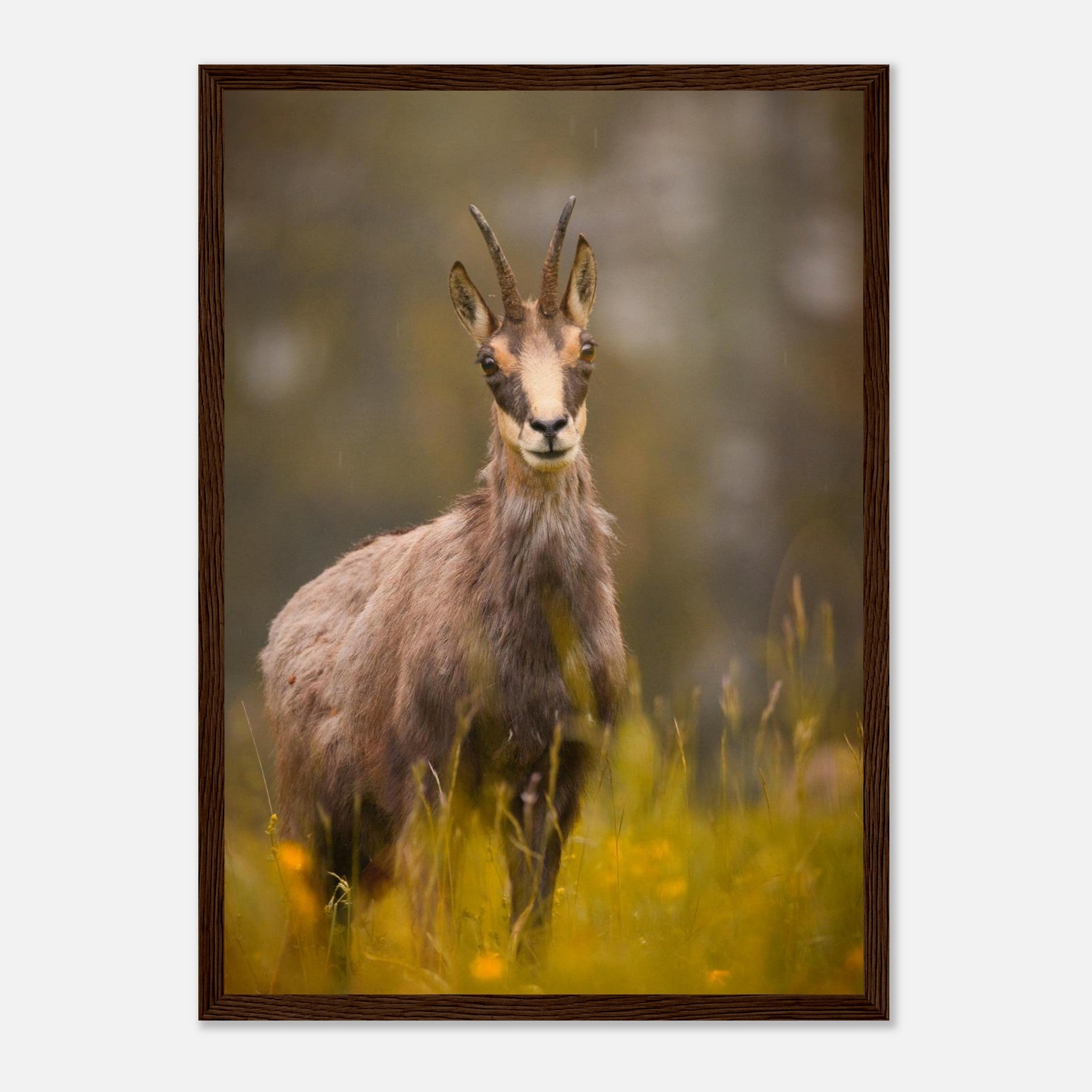 bf7f1e22-e0b5-4d80-b285-5d0986a1e575