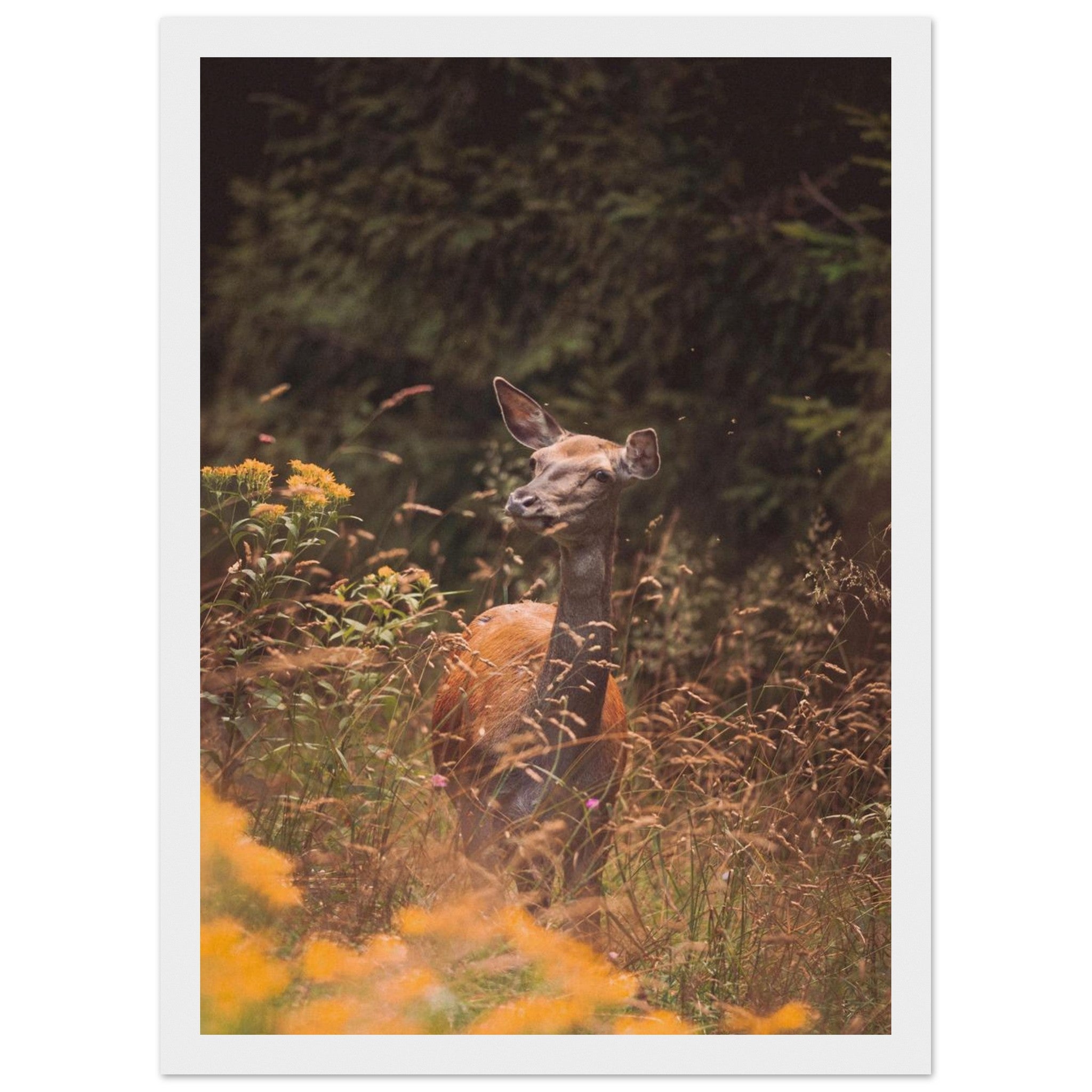 c1d48989-c7f8-459e-9f63-3e3235f0d2f8