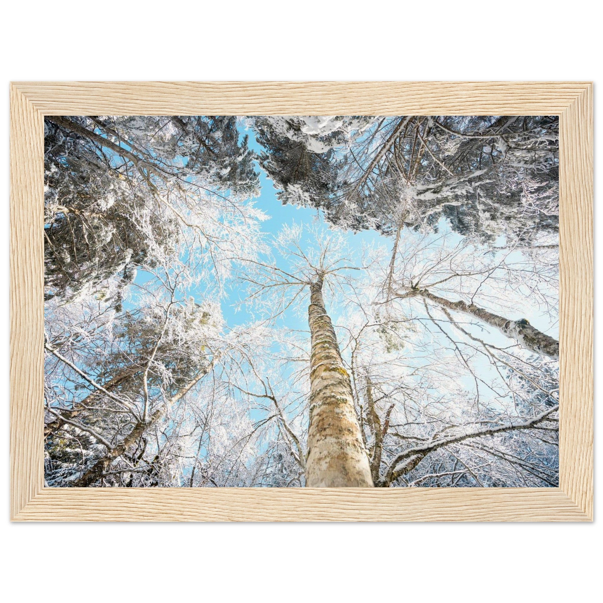 c1e30188-7429-4c14-90eb-a766fa06e48b