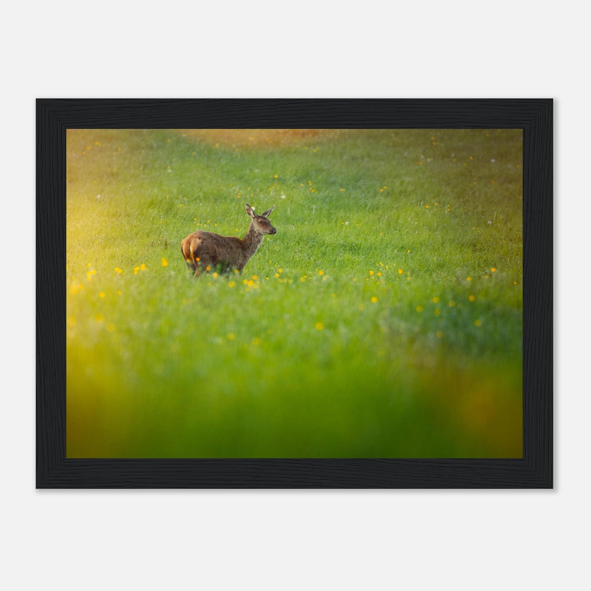 c2854fd5-4d63-4a98-811c-6025fdcf9682