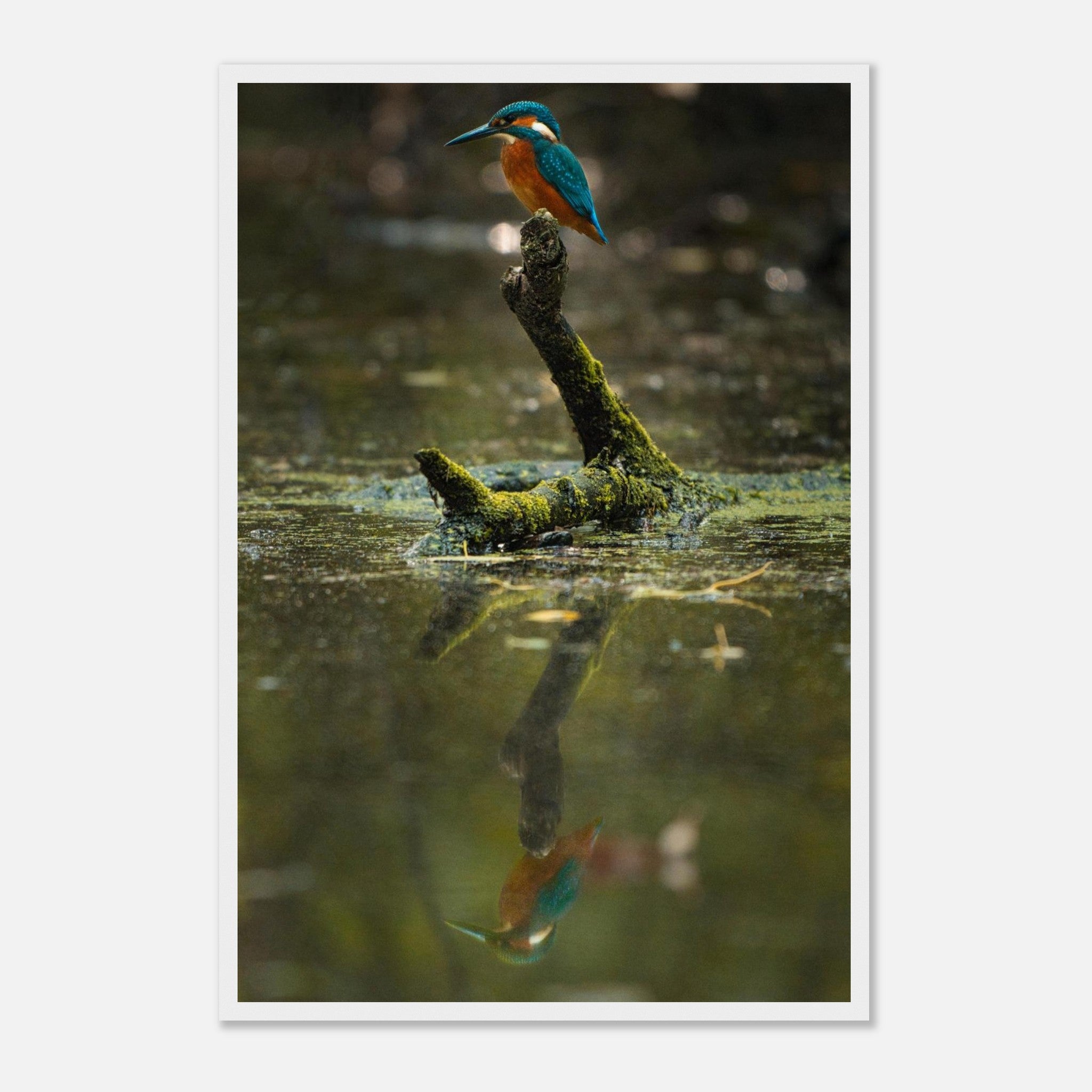 c2b56493-3e89-4436-b992-63a678e0e59b