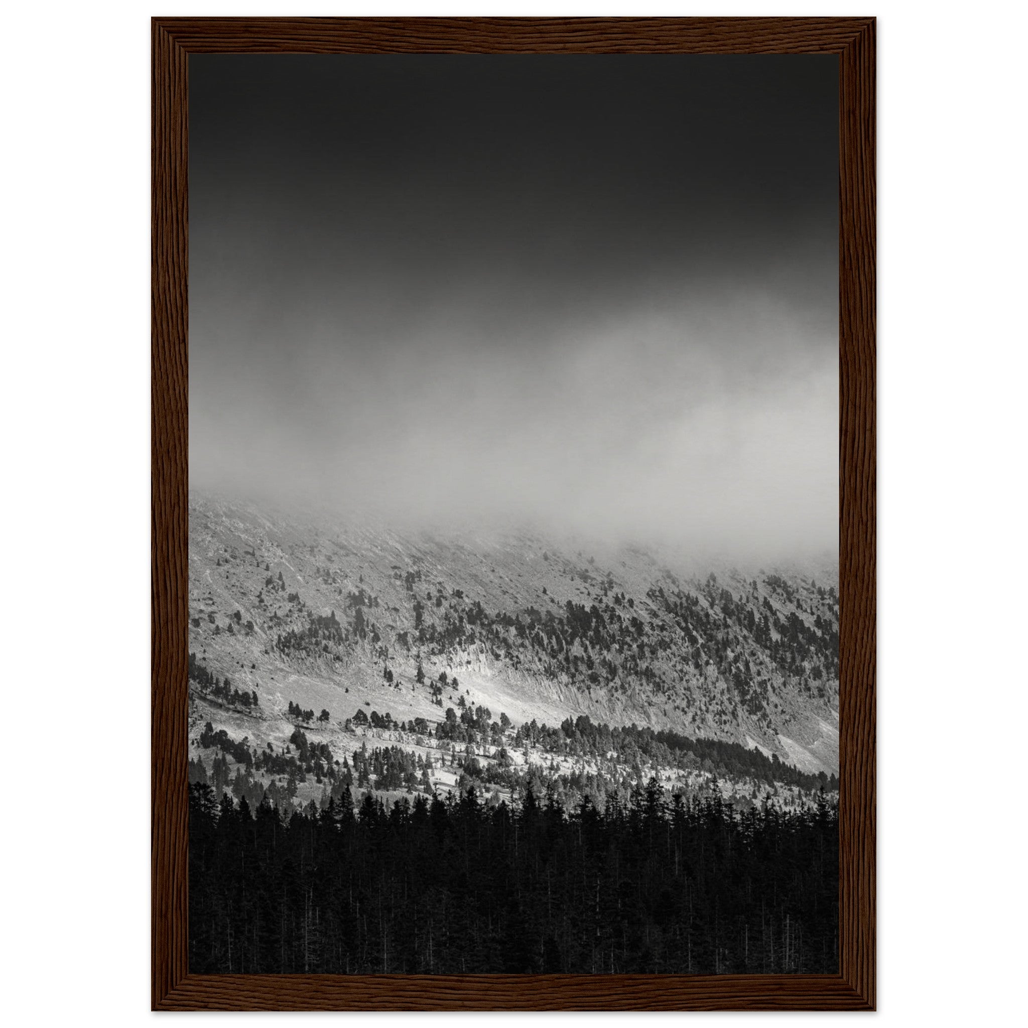 c2d182b3-eb97-441e-b7ca-2bd1e162214d