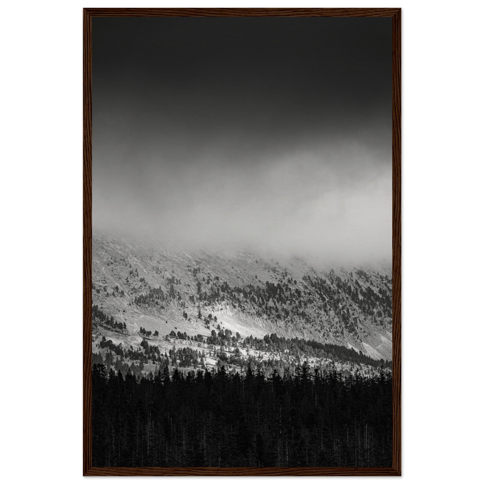 c3957c63-6395-4e47-afd8-f07b9798b1c0