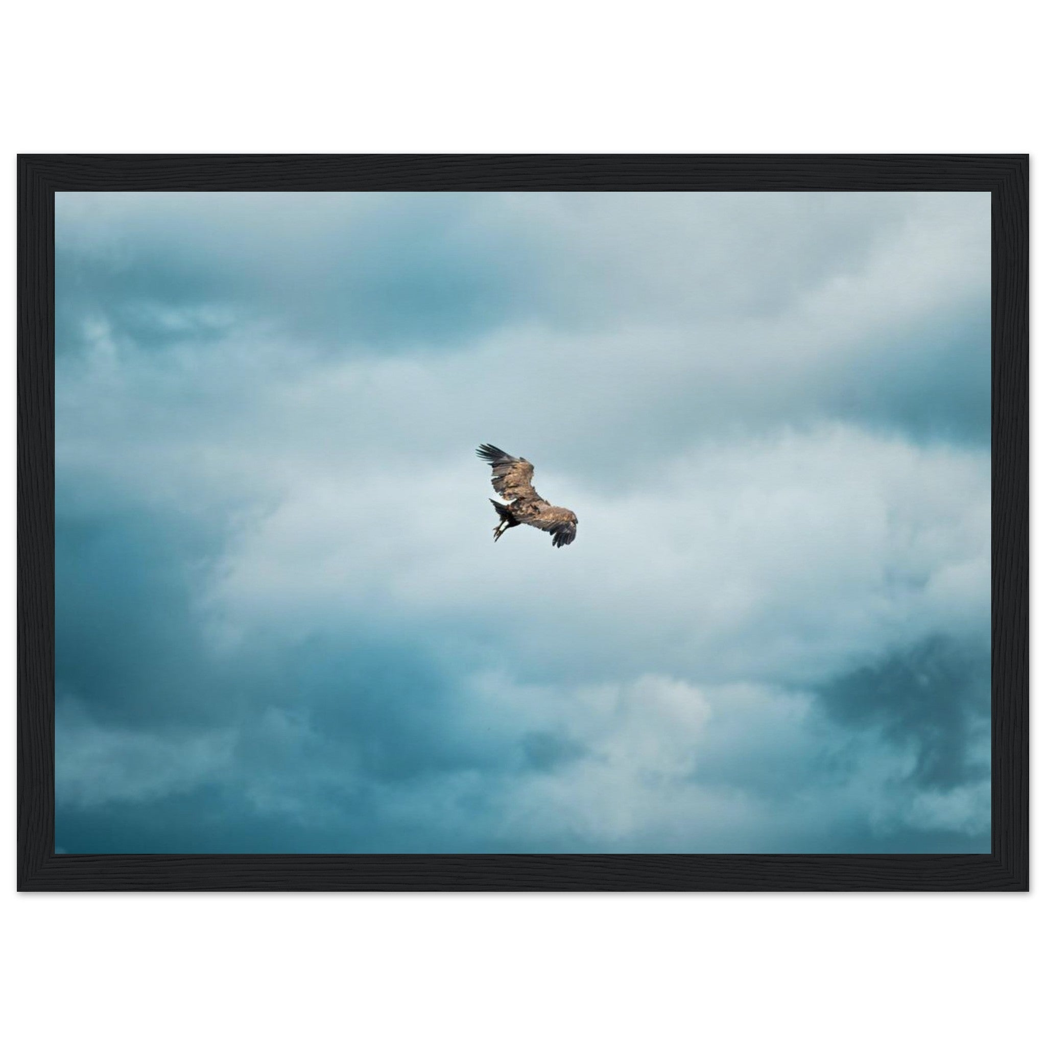 c7ace28a-fde6-47f0-bcc5-d52947ccf048