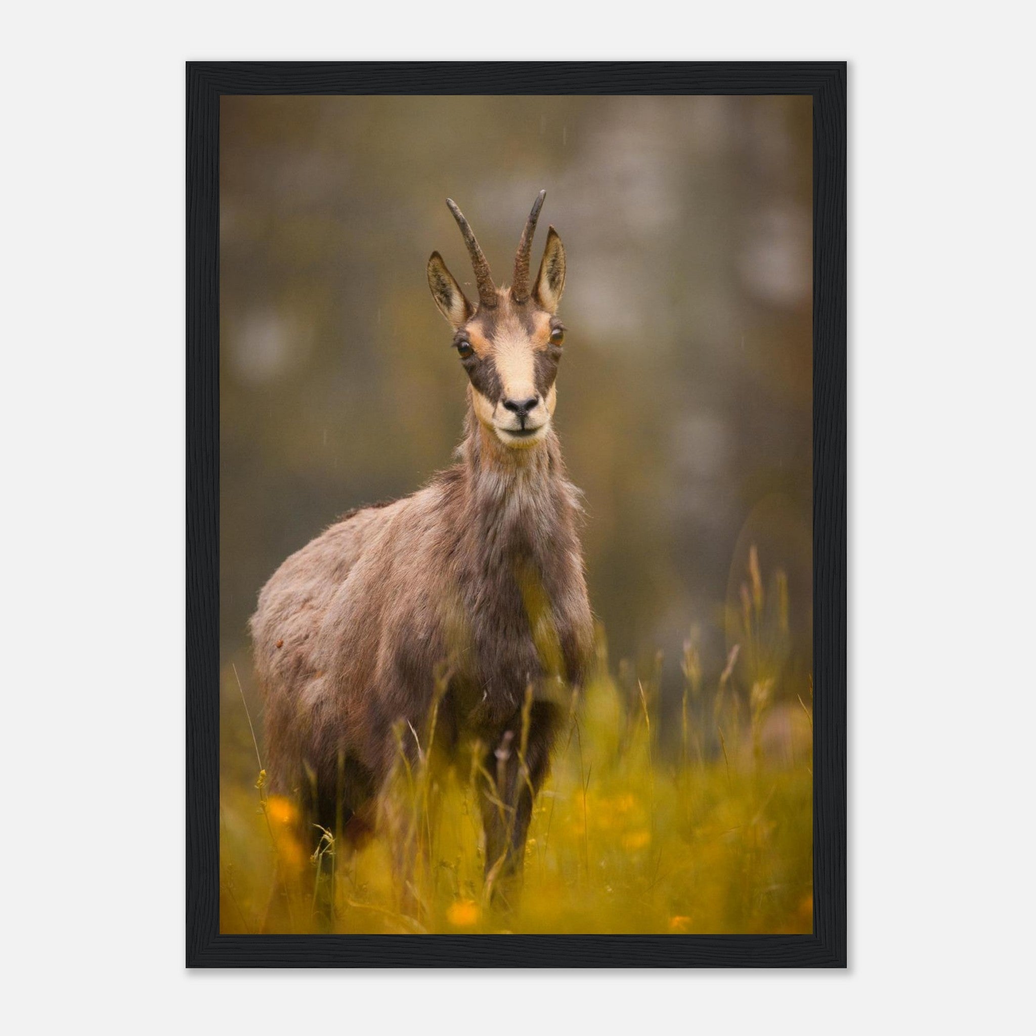 c812b905-ff5f-46fa-8810-3500eca1099a