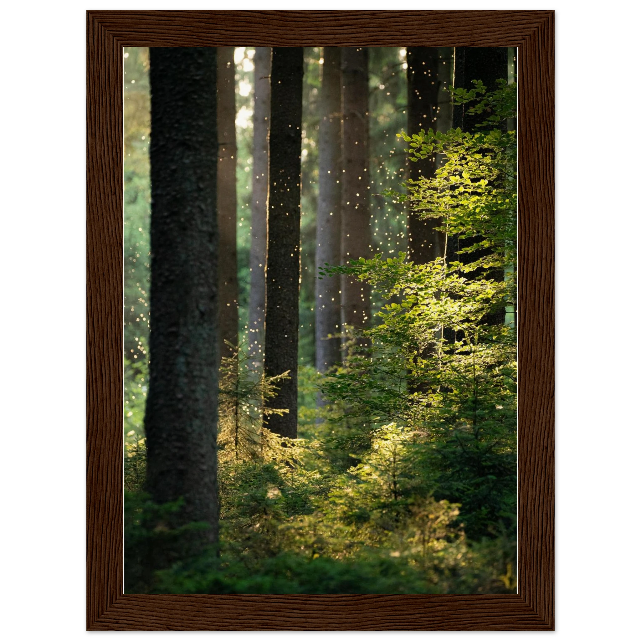 c81da8a1-9907-4ebd-aa68-6e8cf6f4bce9