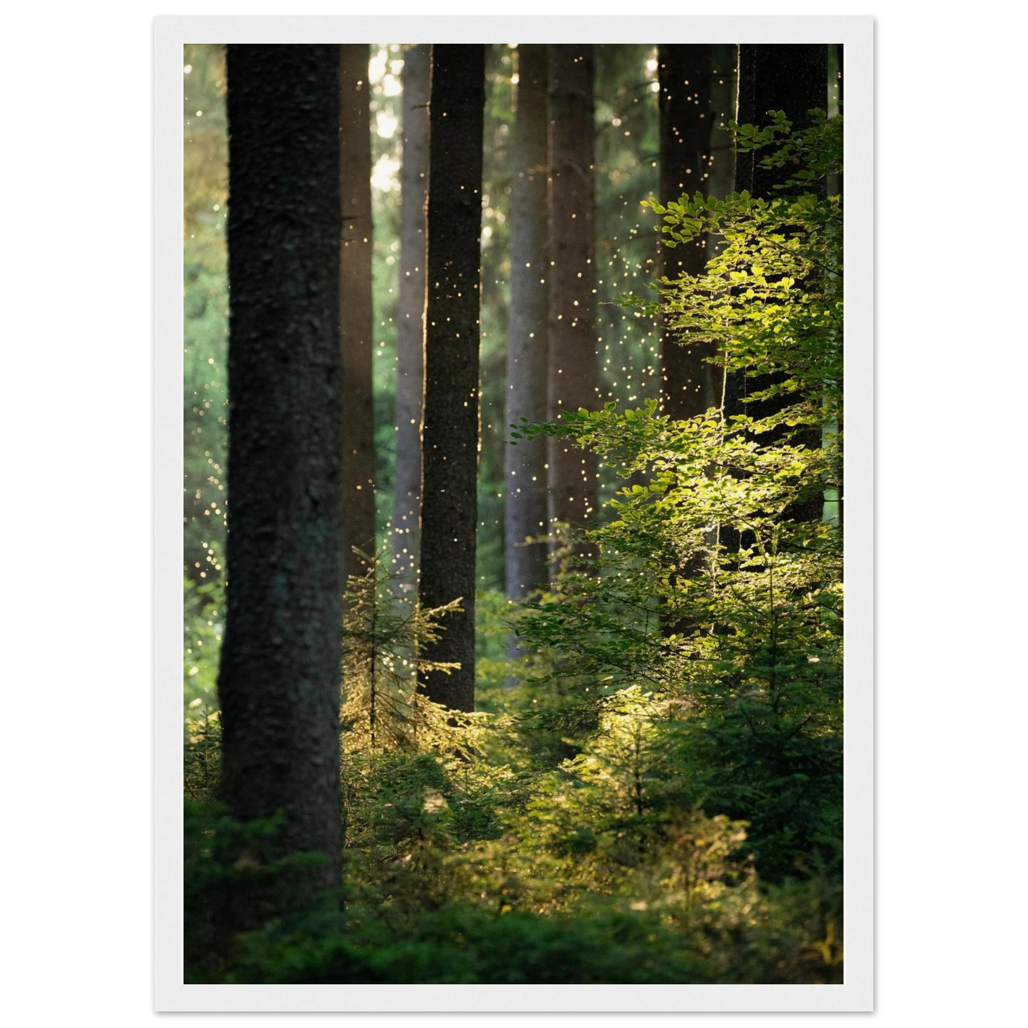 c968c333-ae07-46e2-885e-d1885ebdd64c