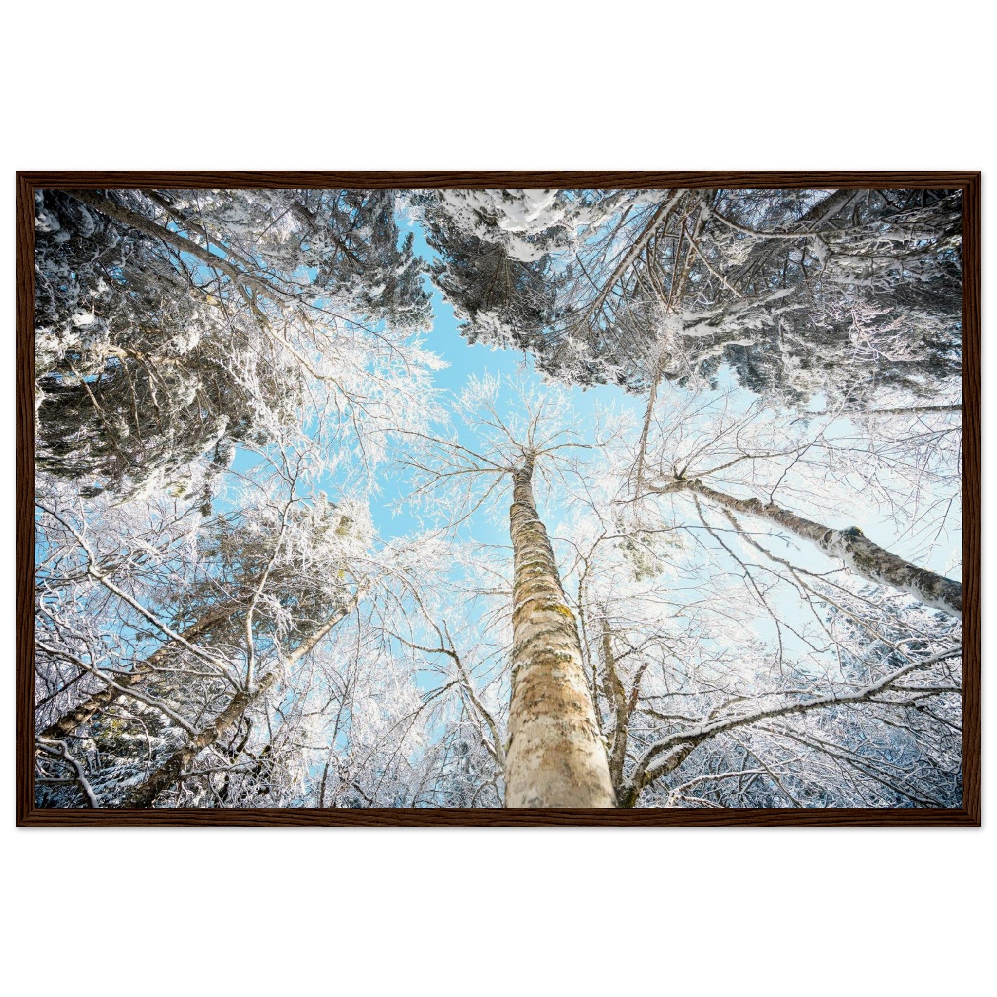 c9beb579-0905-47f6-9a68-ca8f0af10573