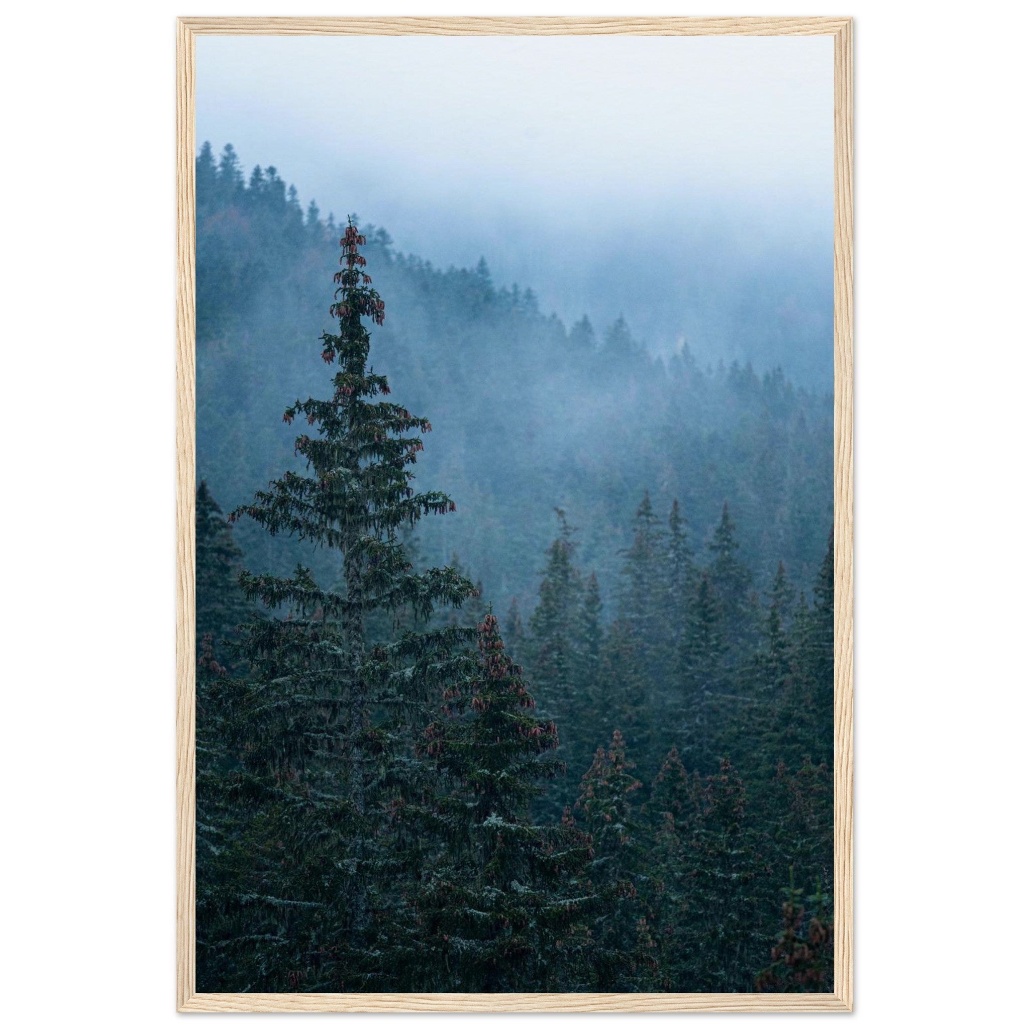 c9da4448-c900-4507-9d8c-d1719d4b56f6