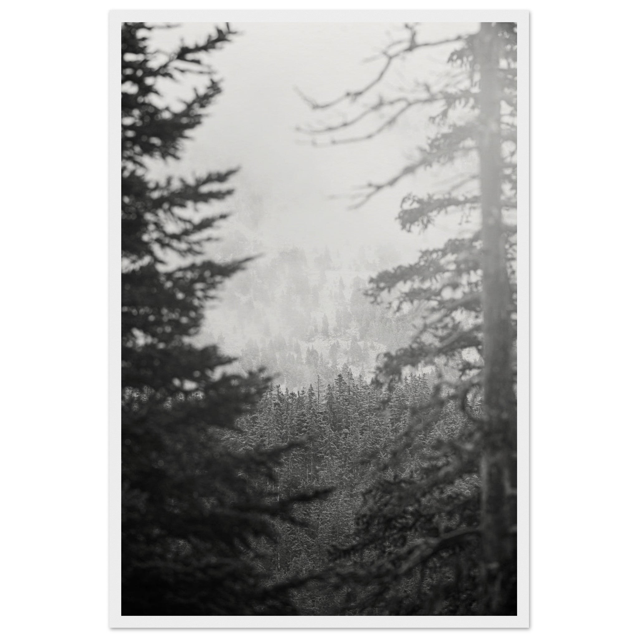 cc084dfd-d2ae-4d7b-b8f9-baef3e3ba3cd