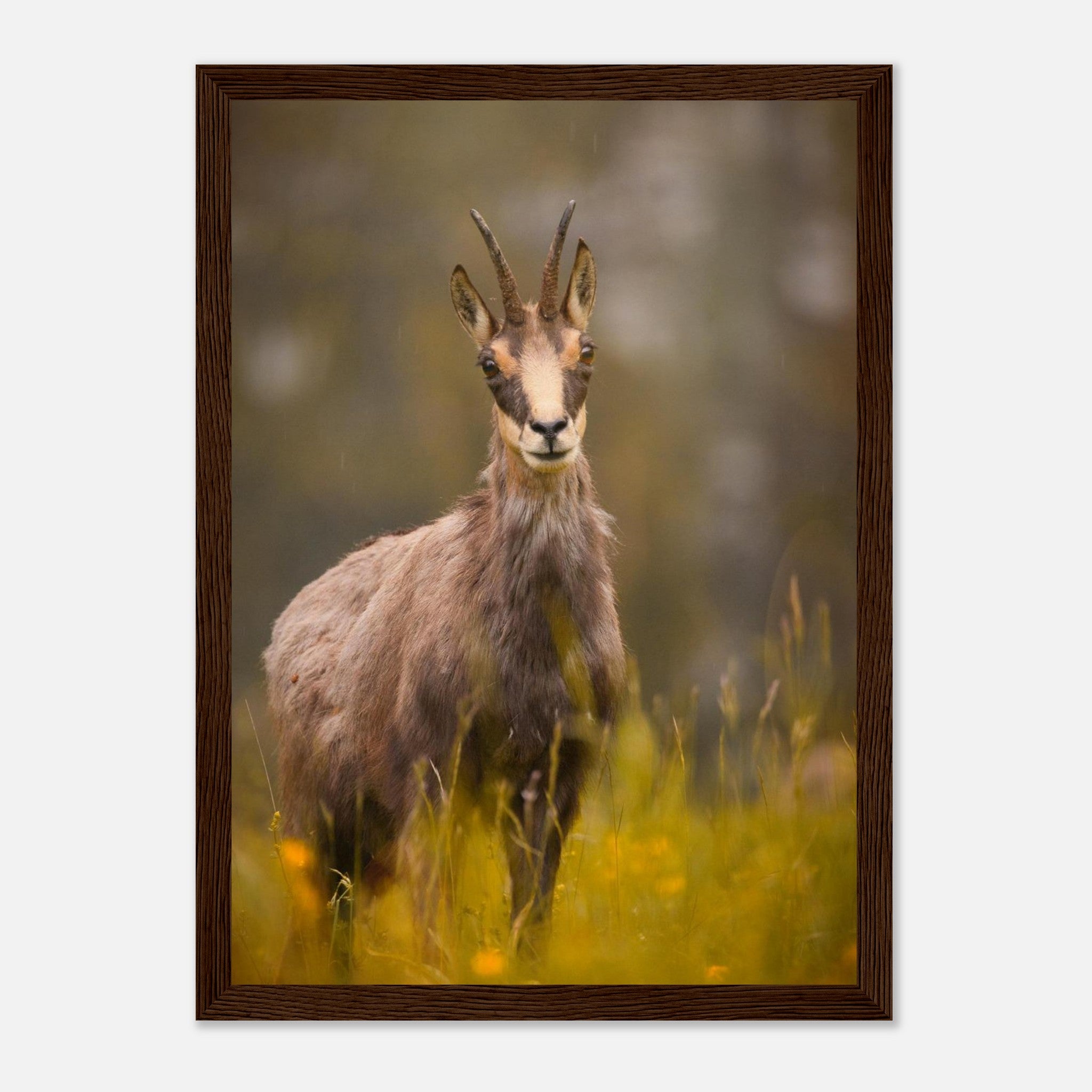 cd32209c-906e-4dd7-8745-dada94cc3d84