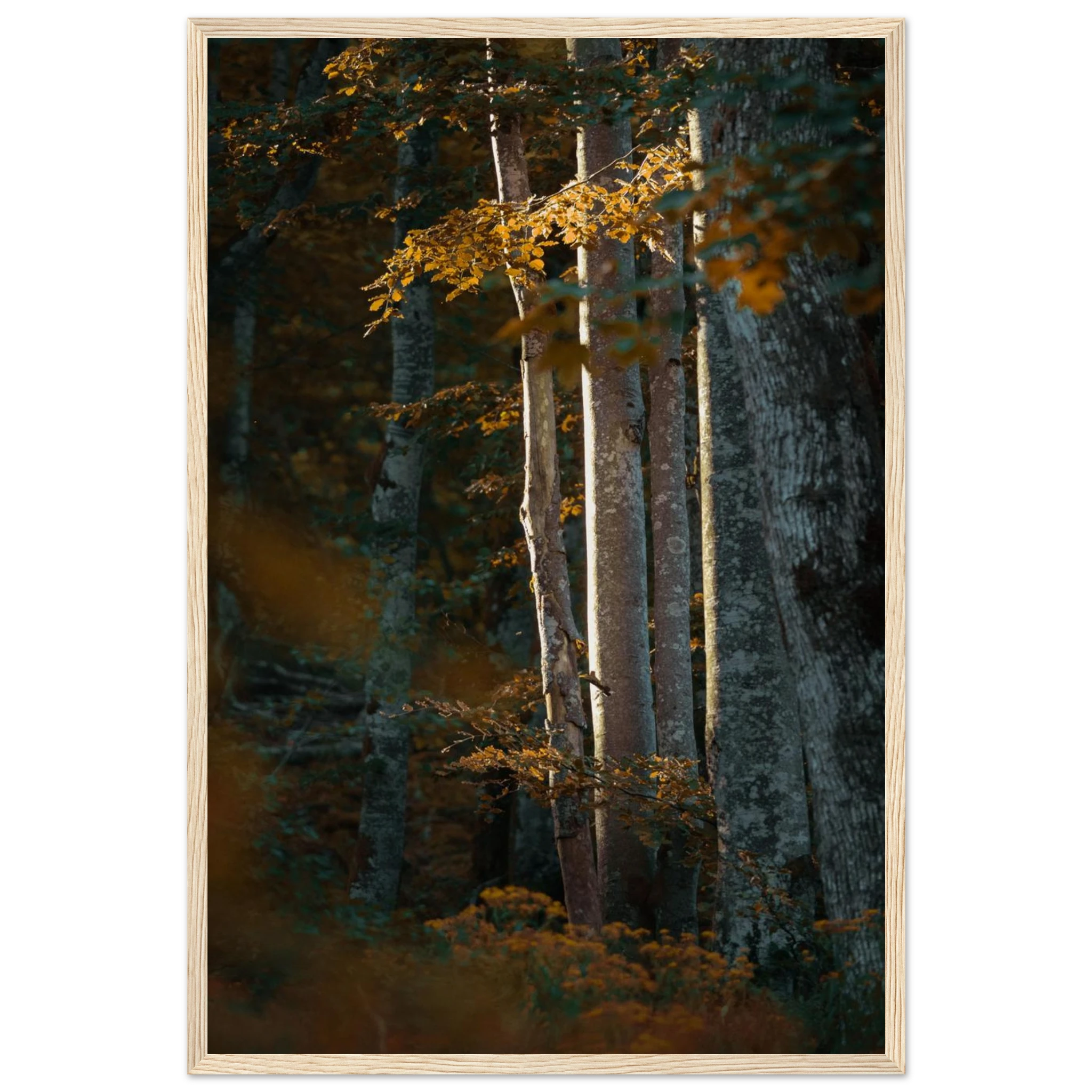 cd6e6d5a-af9f-4b84-8ad1-ad3caaa634c8