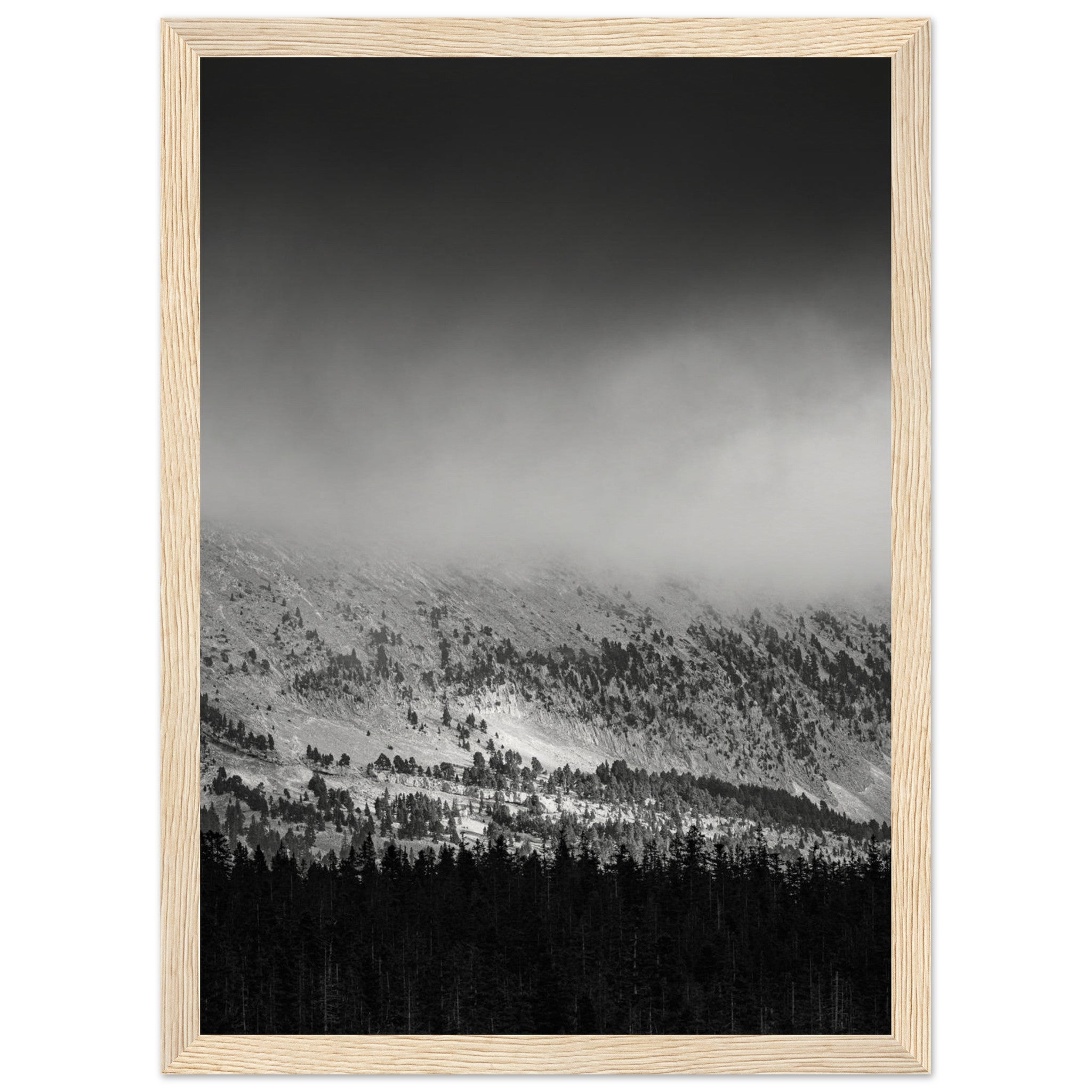 cd6fde0d-c08a-418b-a6b8-4ea6031bccd3