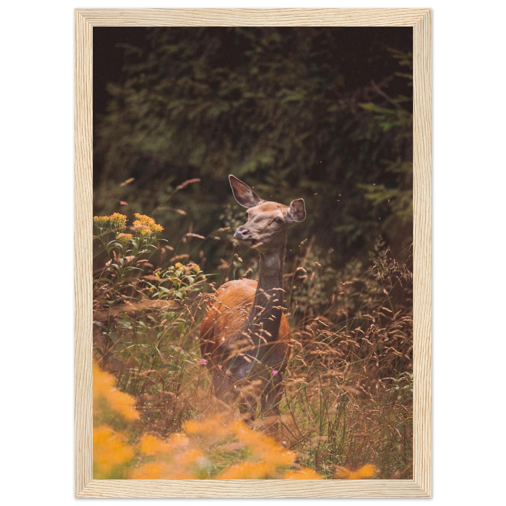 cdb39fe8-9304-49a0-a4ee-69432460b759