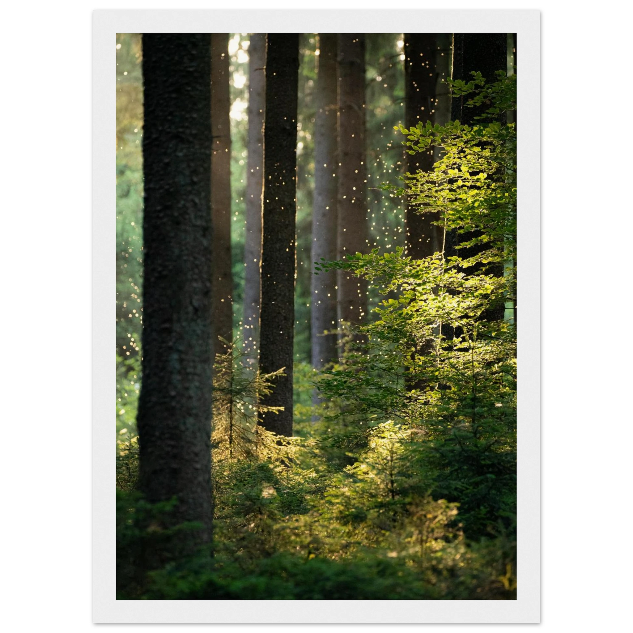 cedb88b0-b7da-4563-89fc-db9a63c62785