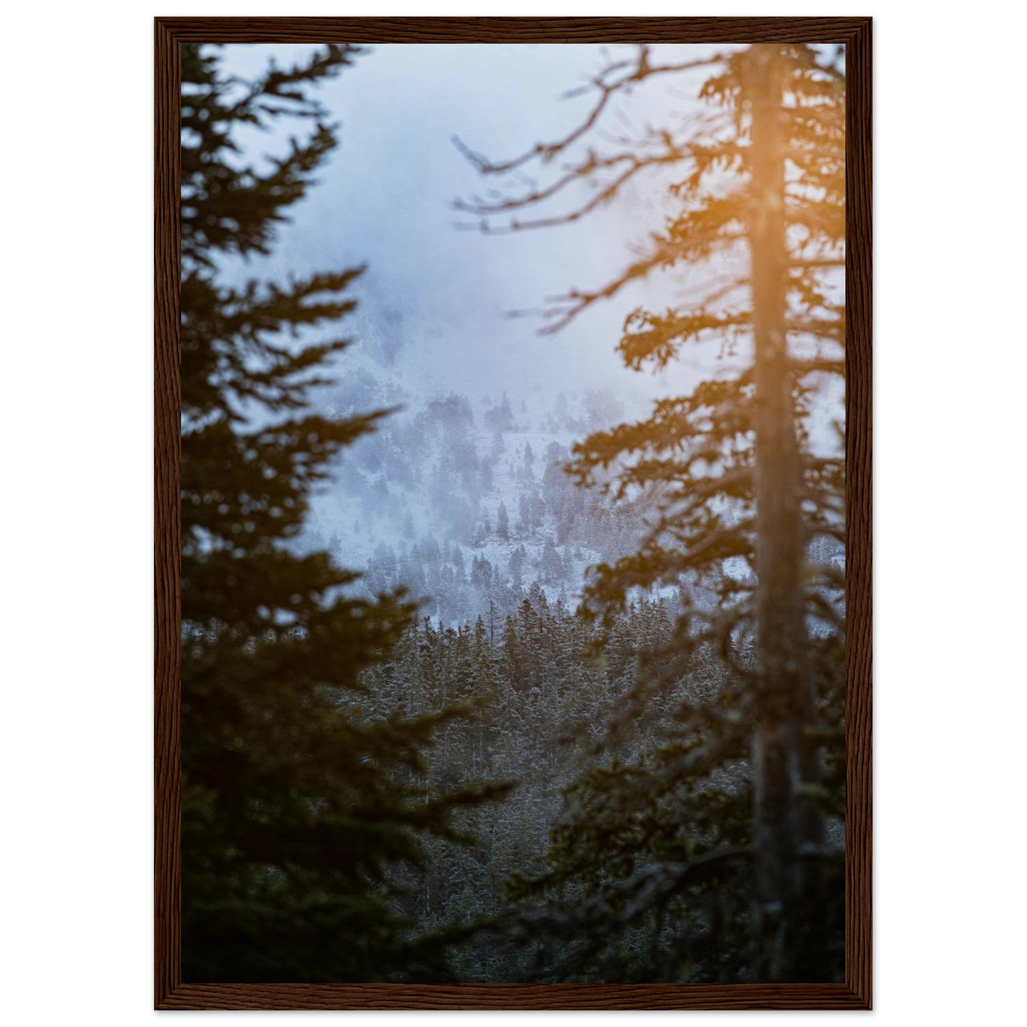 cee48e7c-e463-4b3c-b57f-c83b4cf537a7