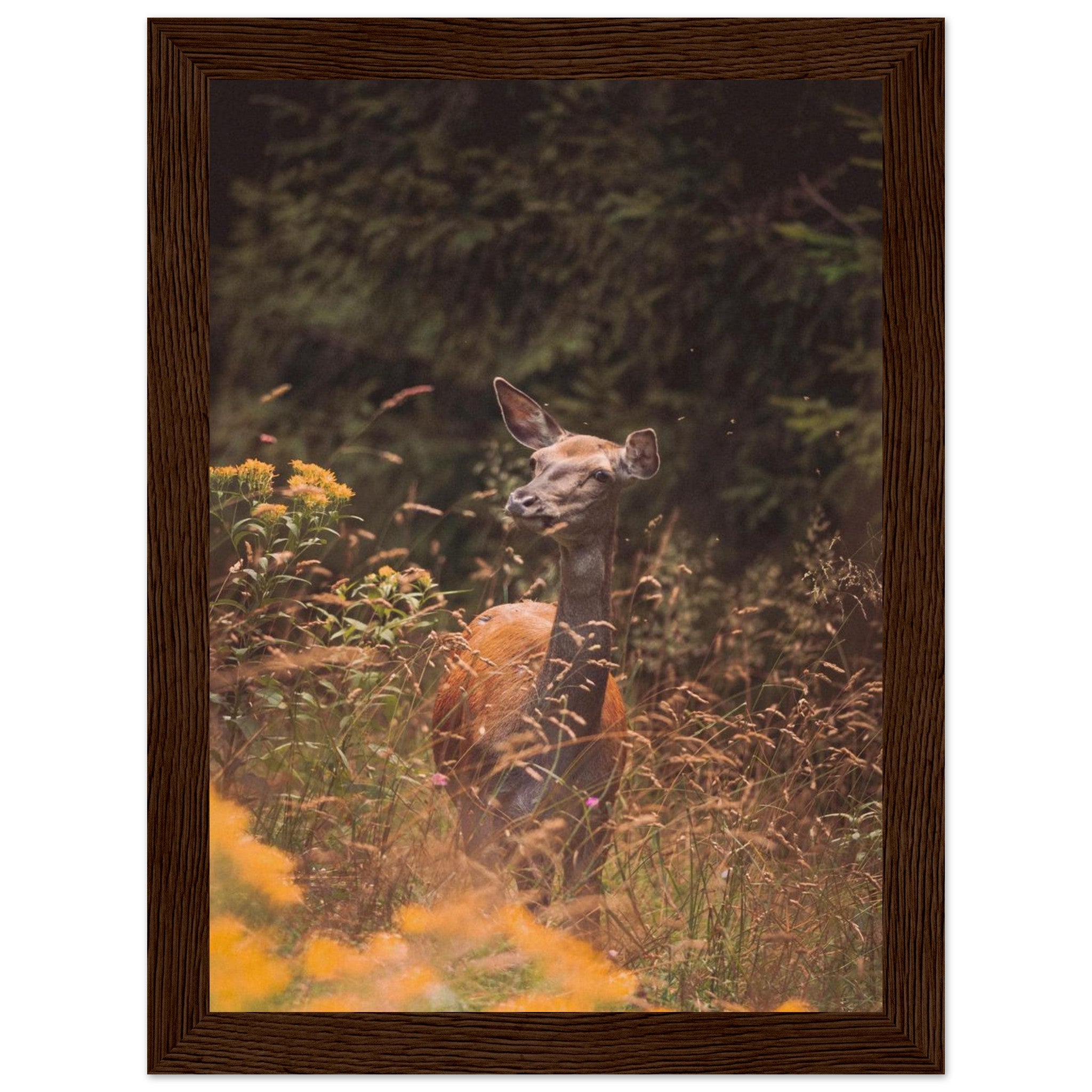 cf35fc45-bc58-4e22-8b4b-ec17ce04a7e0