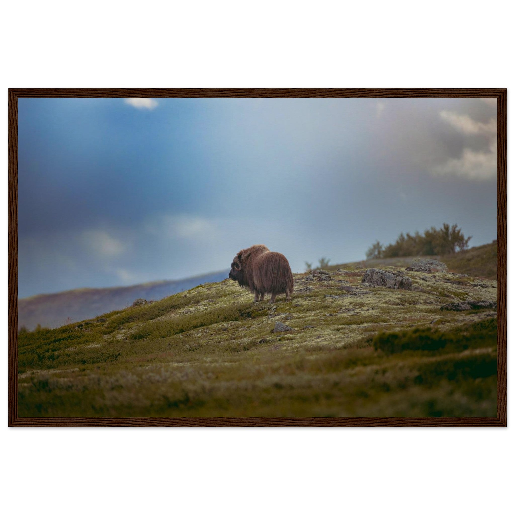 d1728f34-d84c-4c5c-9422-f34335d2b299