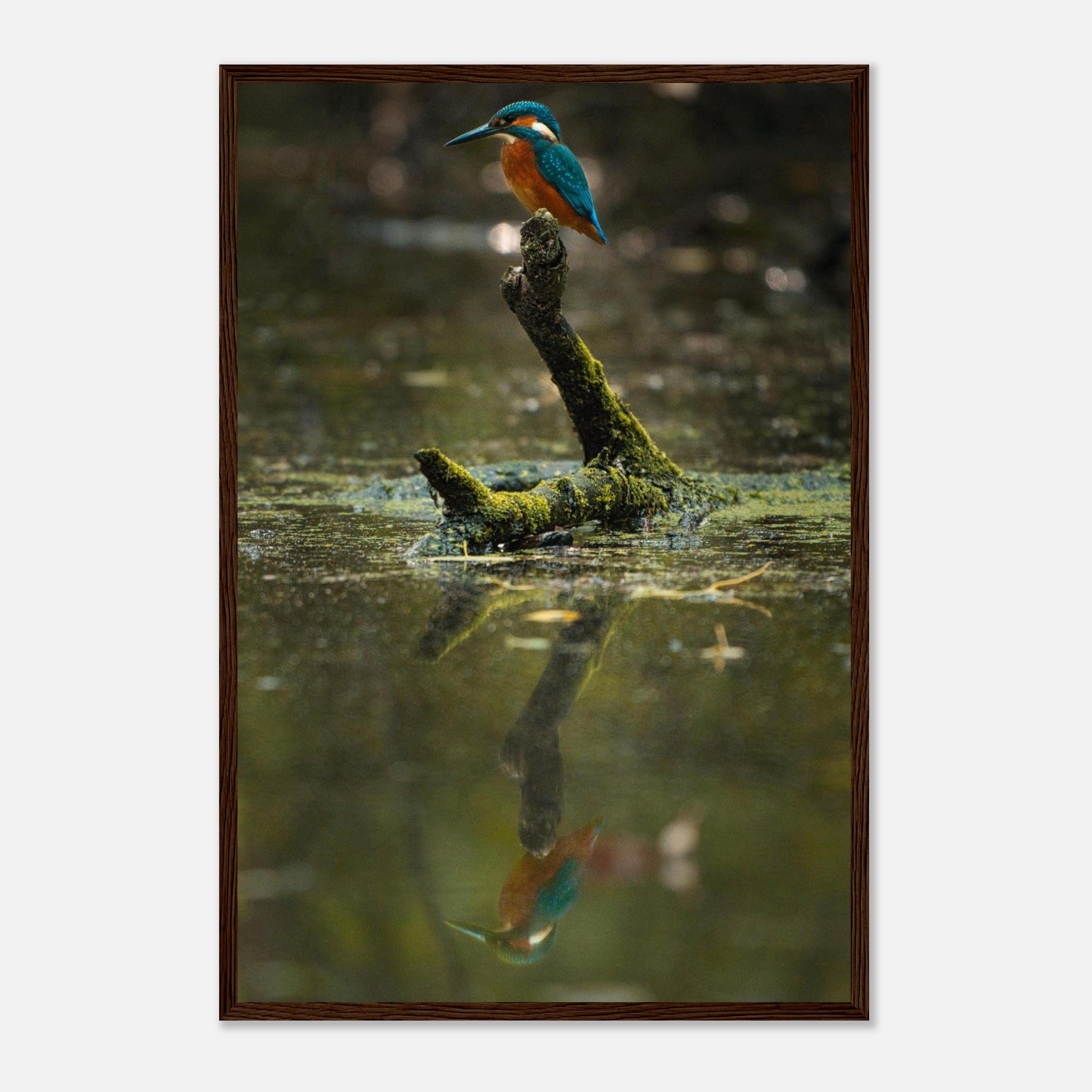 d1ae3033-fdea-4286-86c2-f988f14bf862