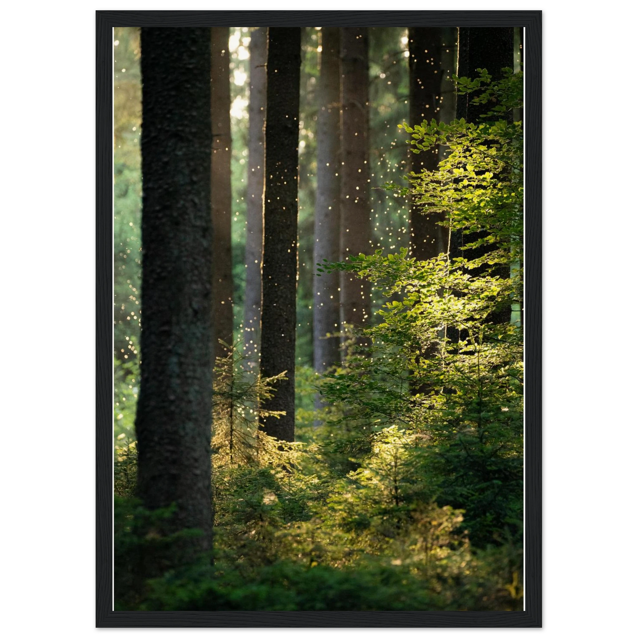 d28fd413-5109-43bb-870d-434f09464daf