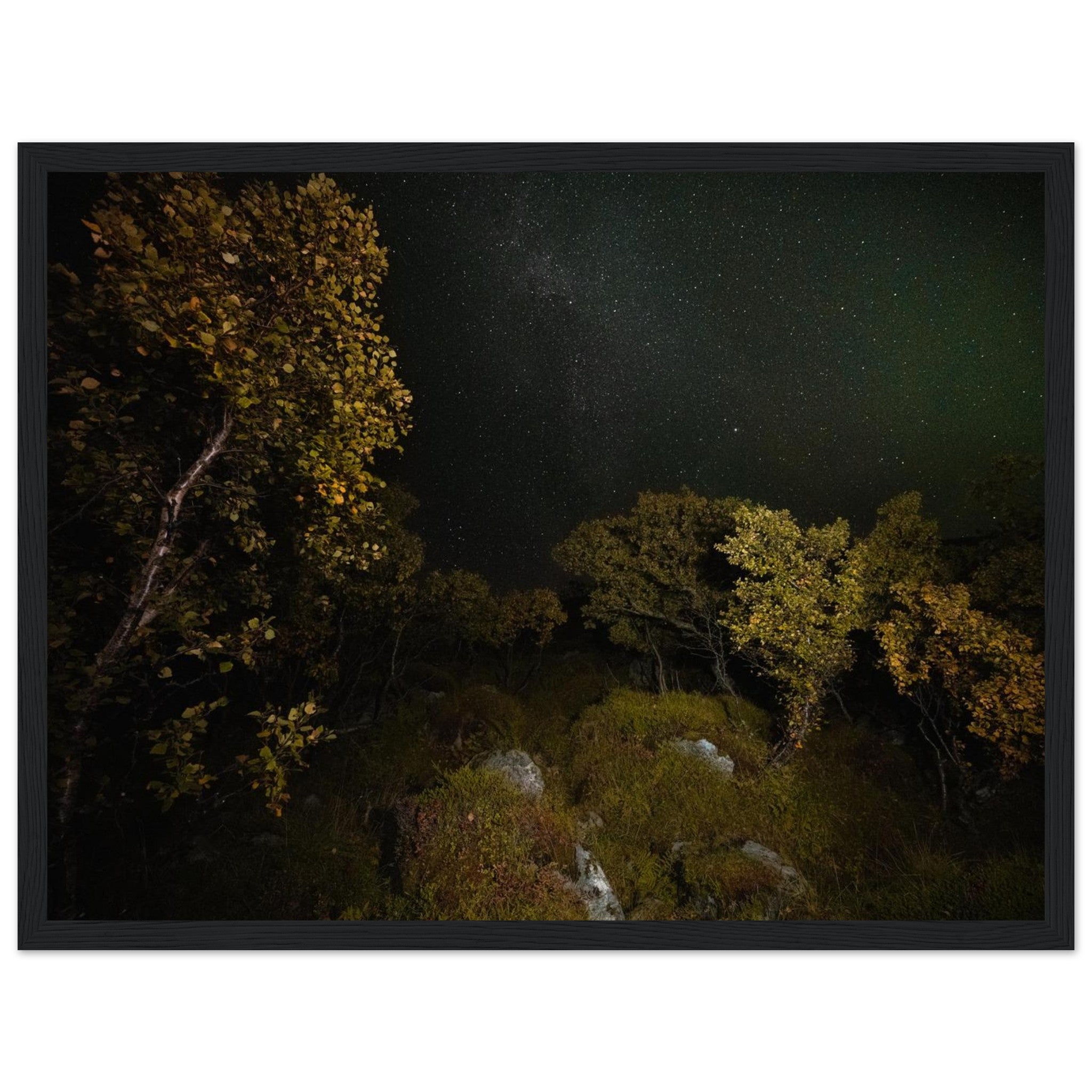 d299857f-93ed-4787-9bc8-c833c65afe3e