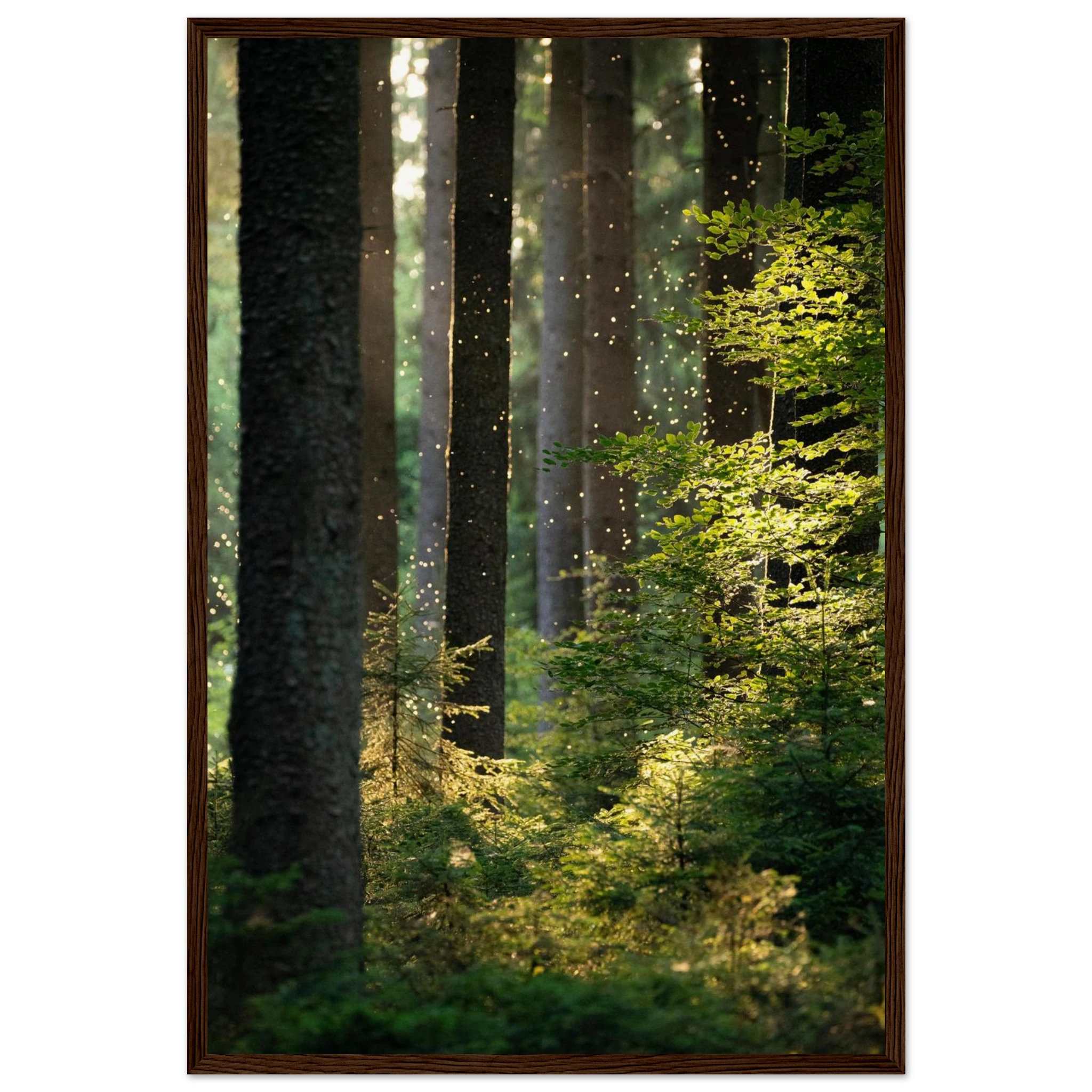 d2f92e0d-40e0-4415-aaca-c7529cf6aba2