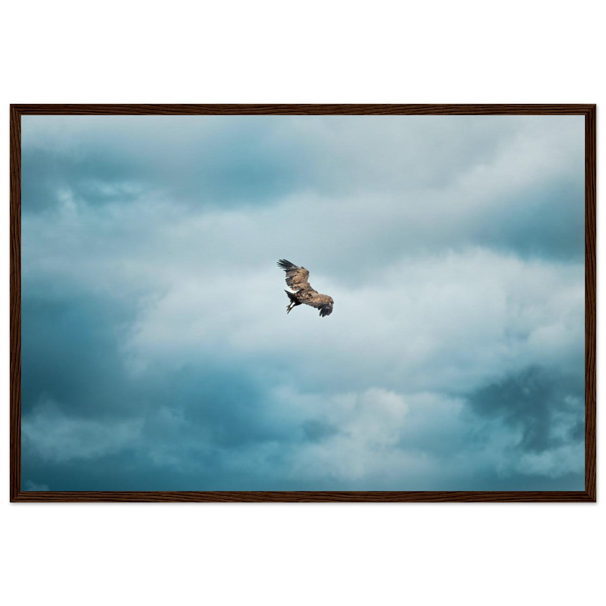 d4c02bc5-95ce-4639-b9db-b33bd4e43826