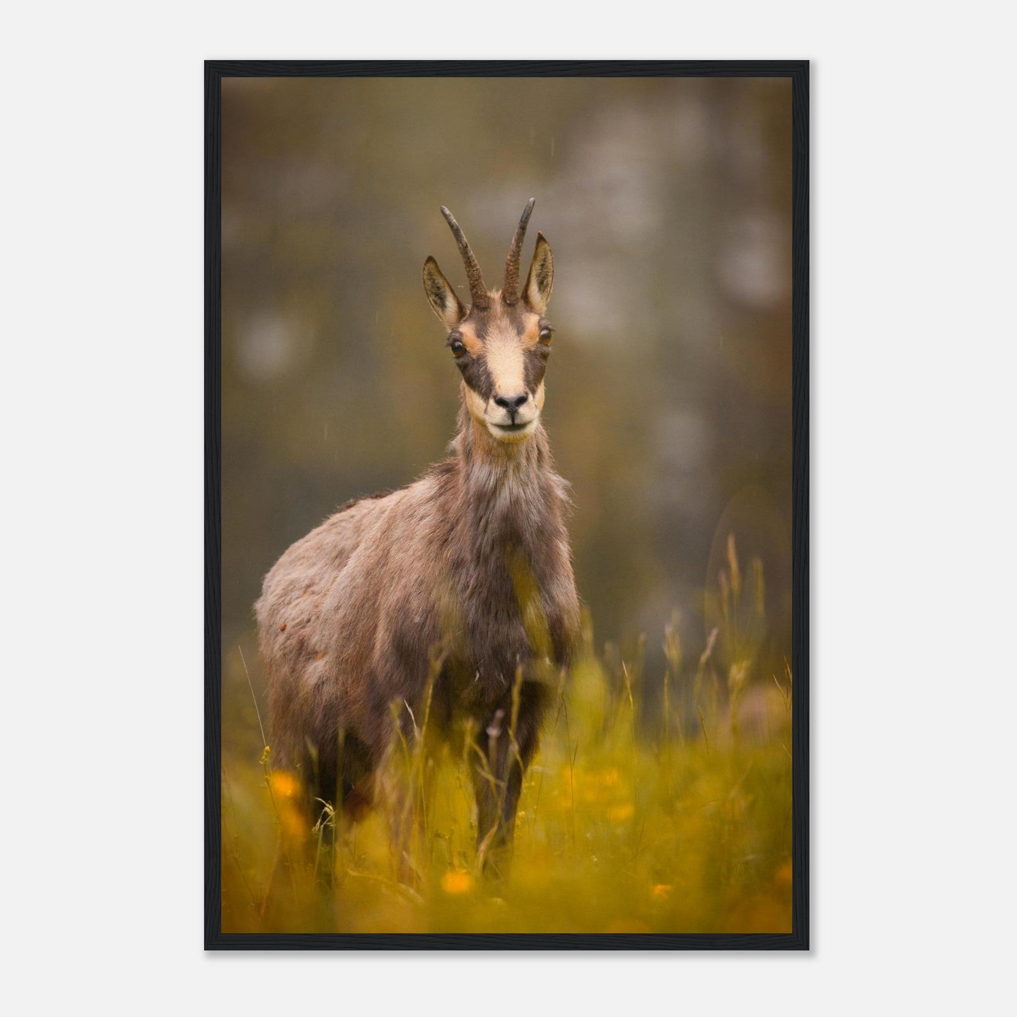 d63034b5-9803-49d5-8a22-b4ab8a6fe99d