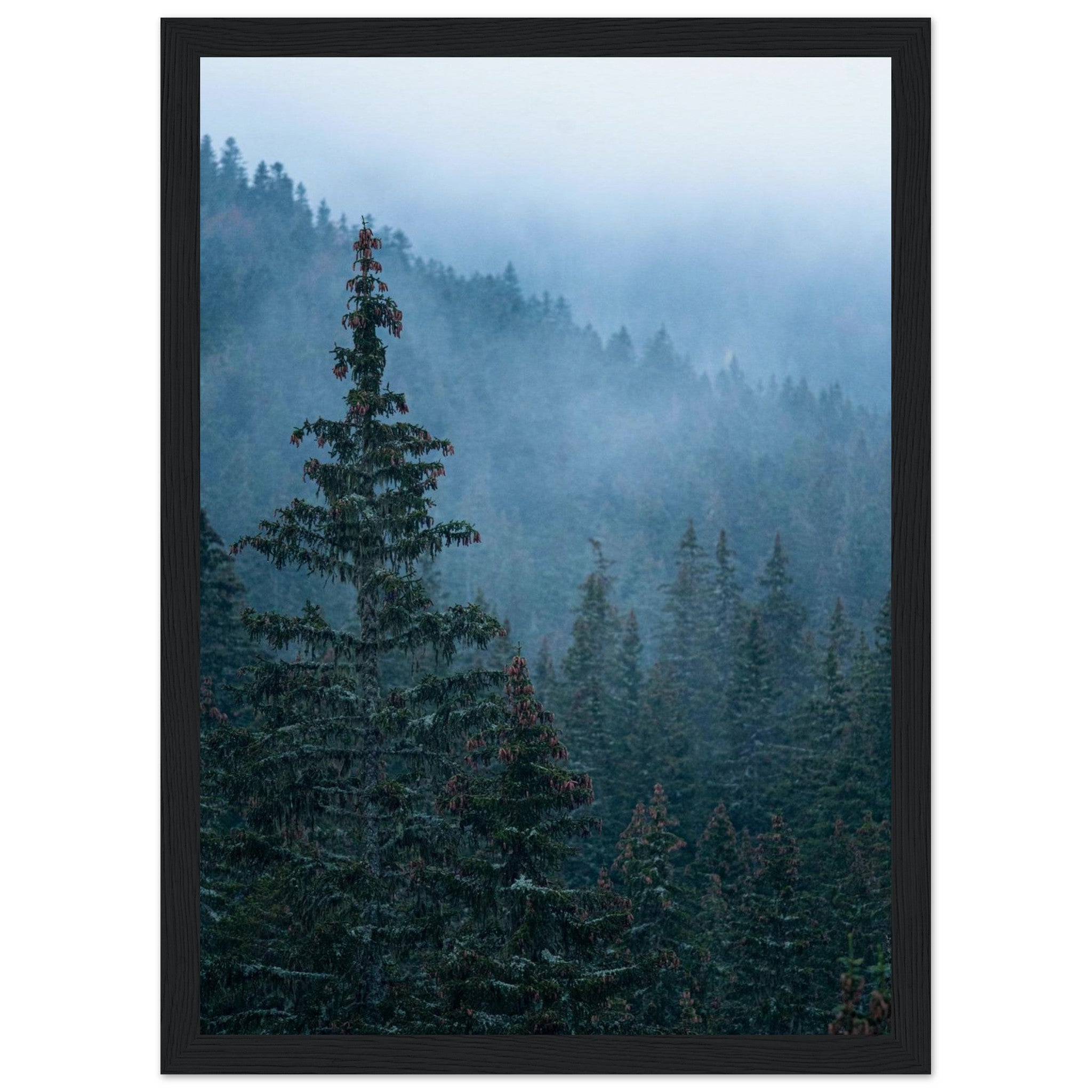 d6a1449b-4d43-4215-94a8-3597b85318aa