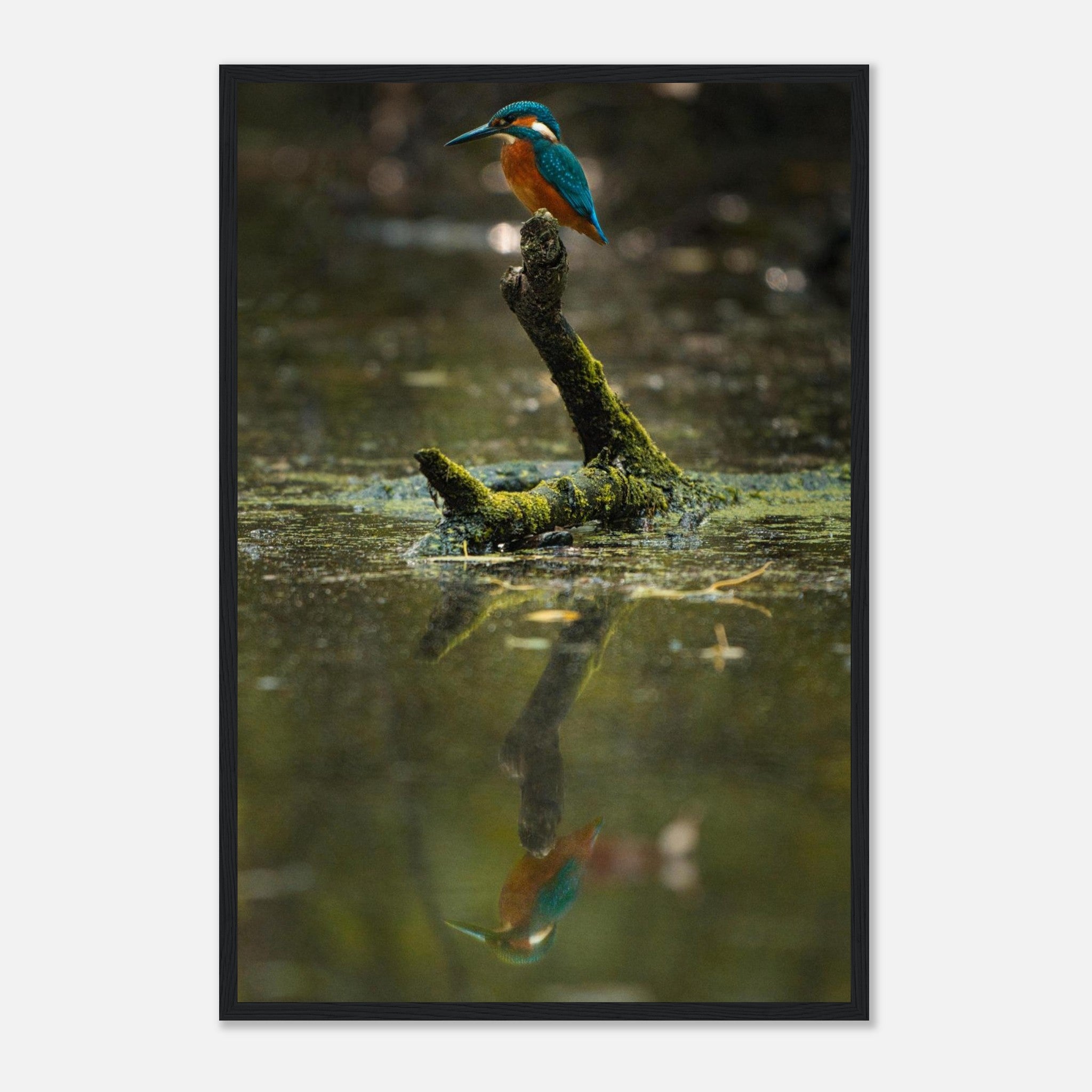 d7241cd5-efd2-48fd-a809-334706083214