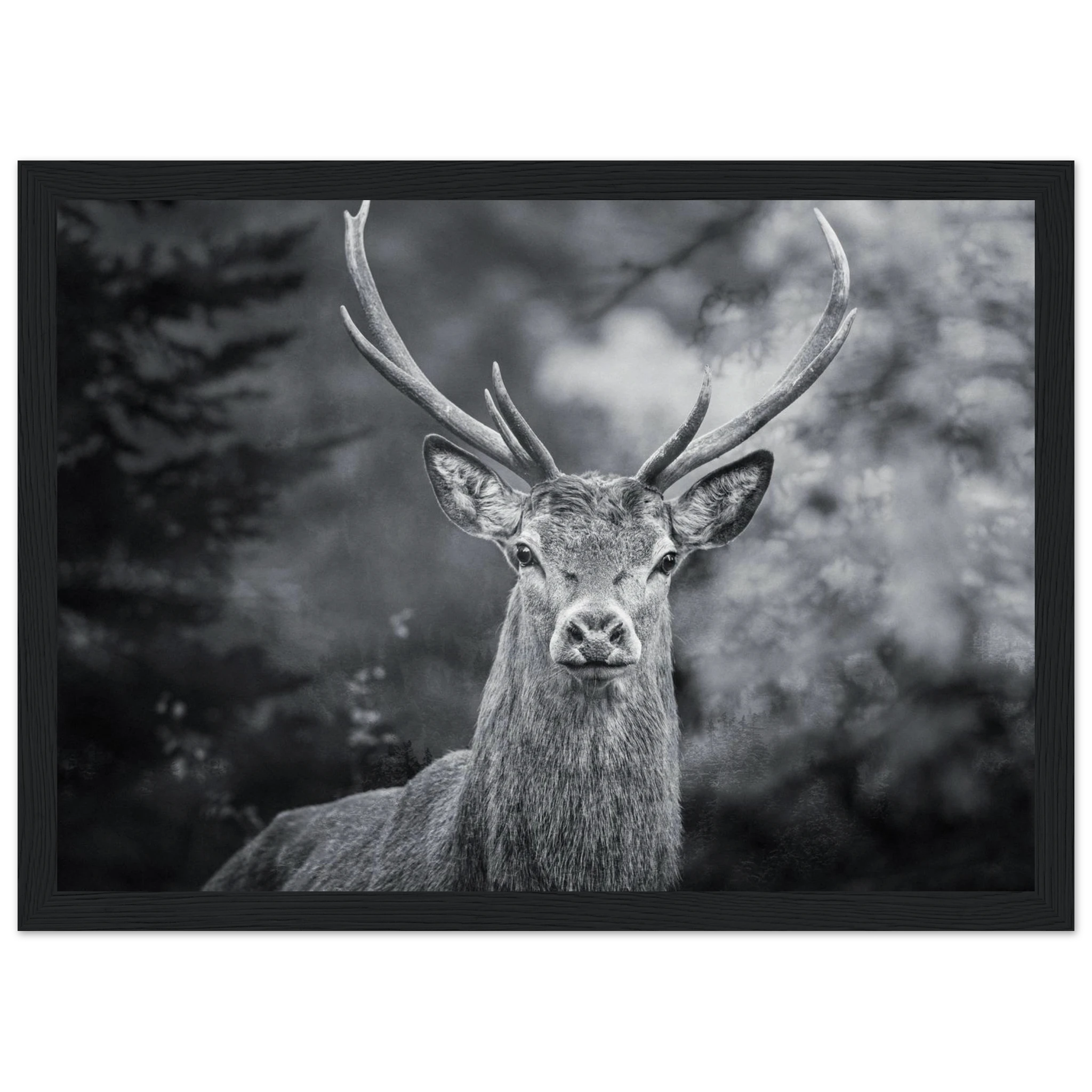 d7c14e6b-7117-4387-8a42-e032b7cec2a0