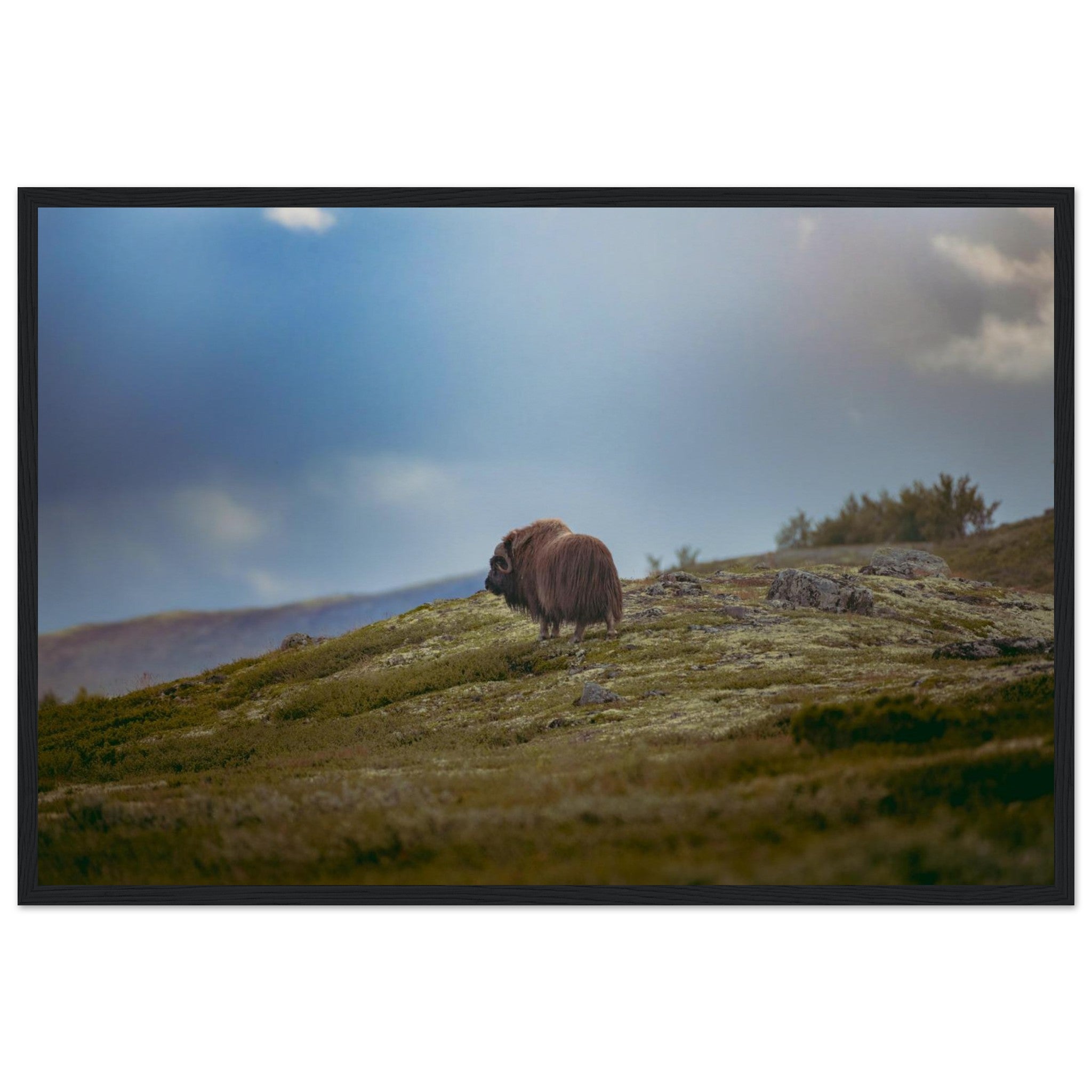 d84e7495-dafa-46e0-8964-878f6448cad3