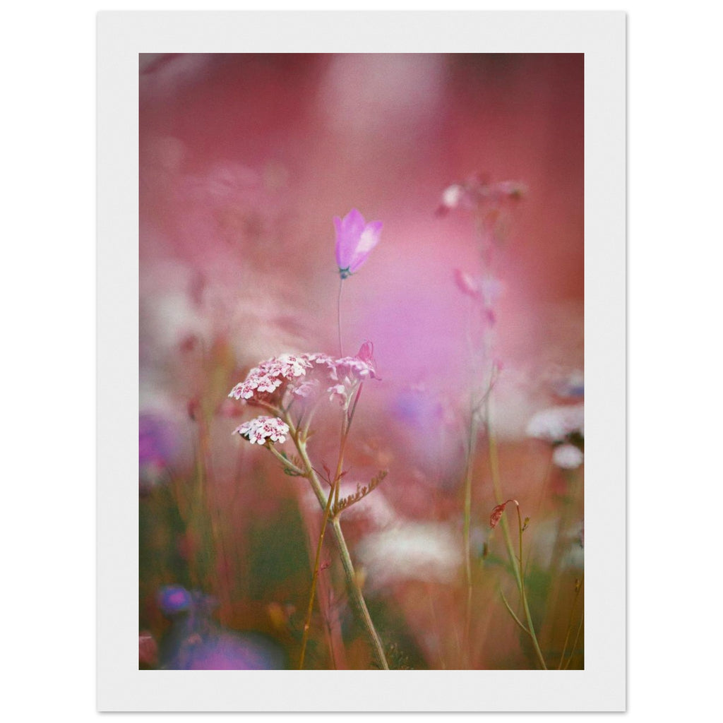 d9105821-ea1e-41a0-aced-fd5895adacbc