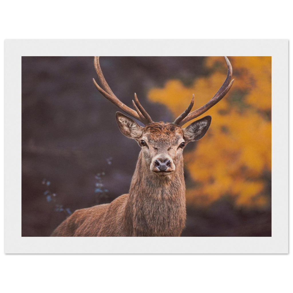 d95aad81-204a-4c6e-9c62-84e44a5a1cb6