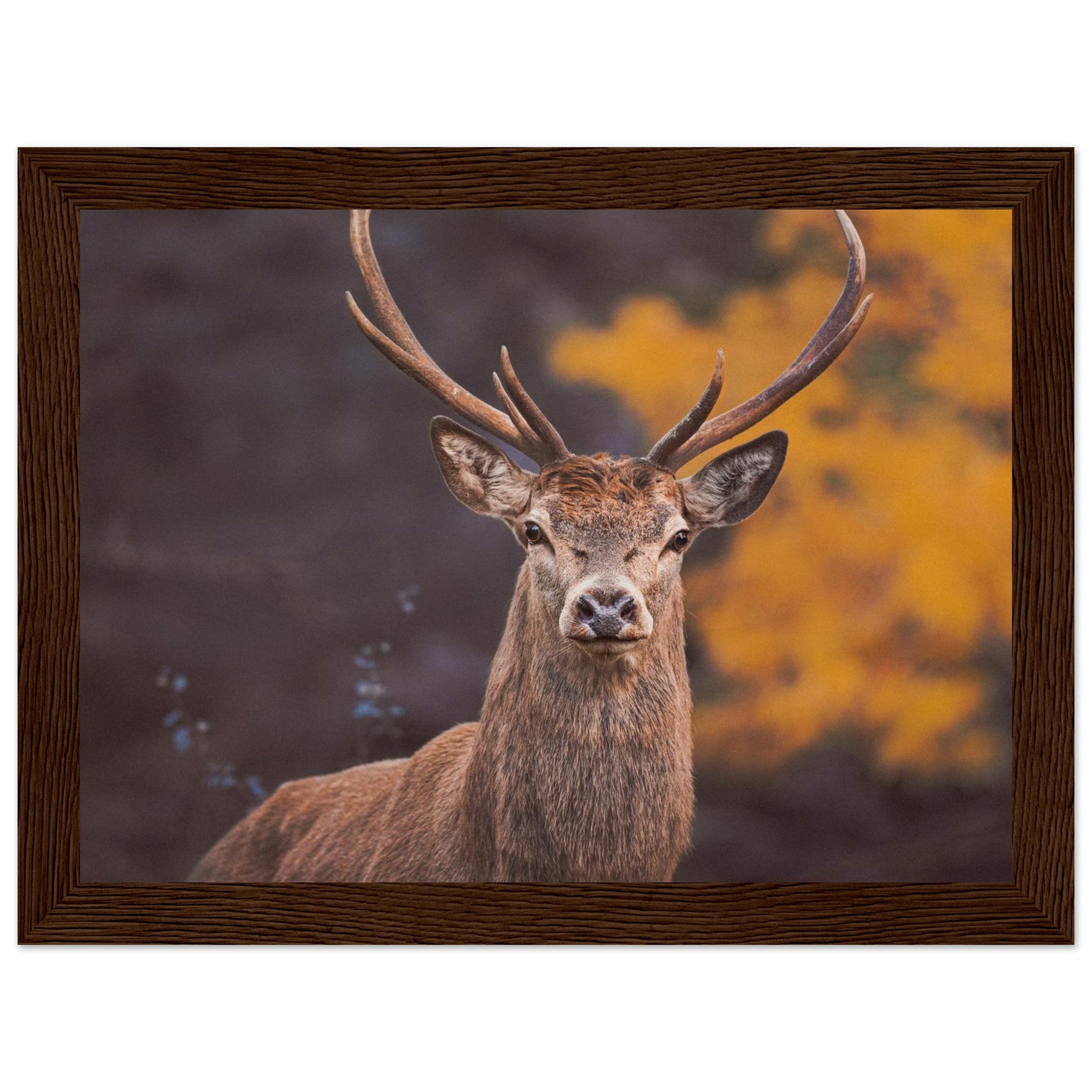 da3aadc1-b533-4e76-b437-df622bdc6350