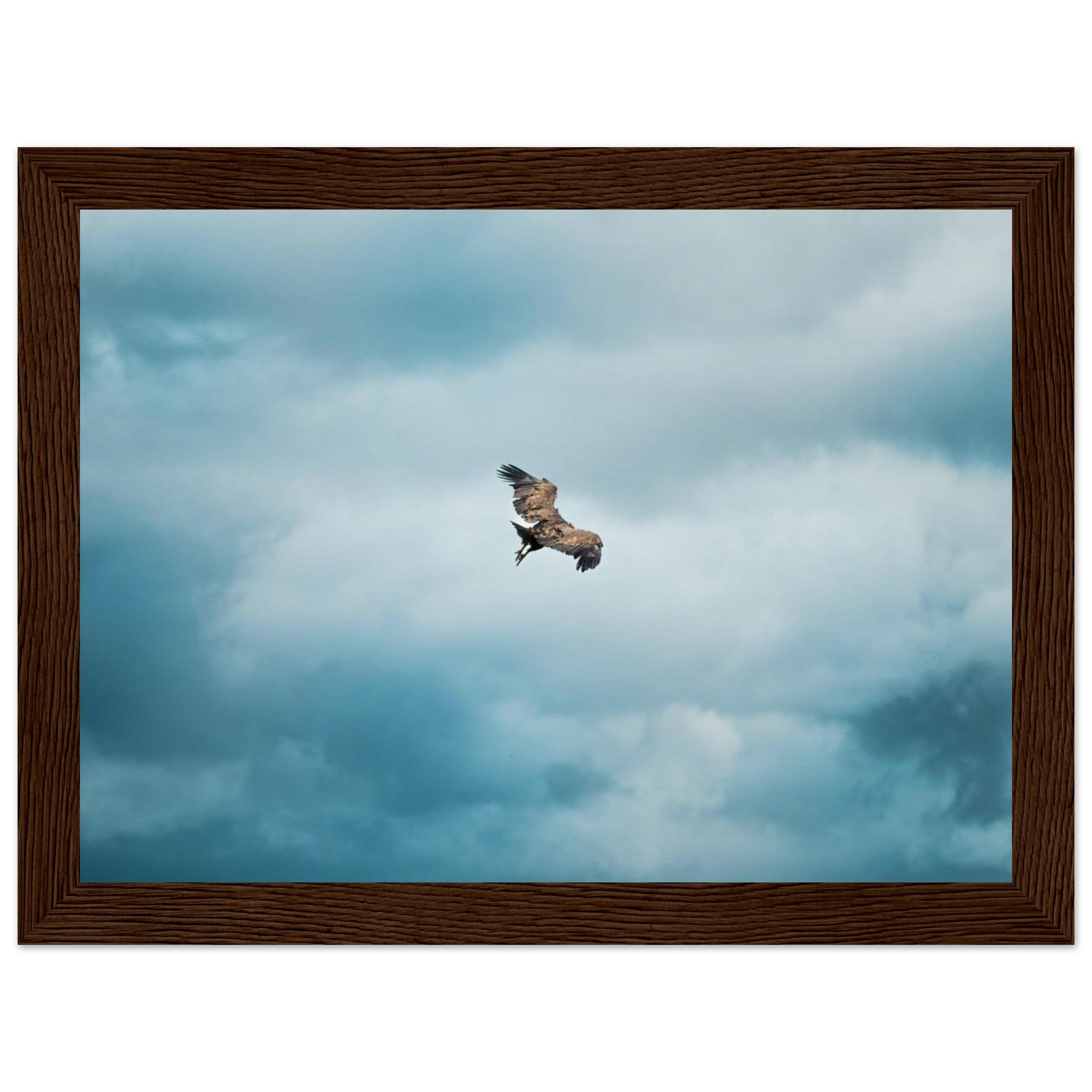 daf4dfa1-f92c-4248-9f97-5e791f463bb7