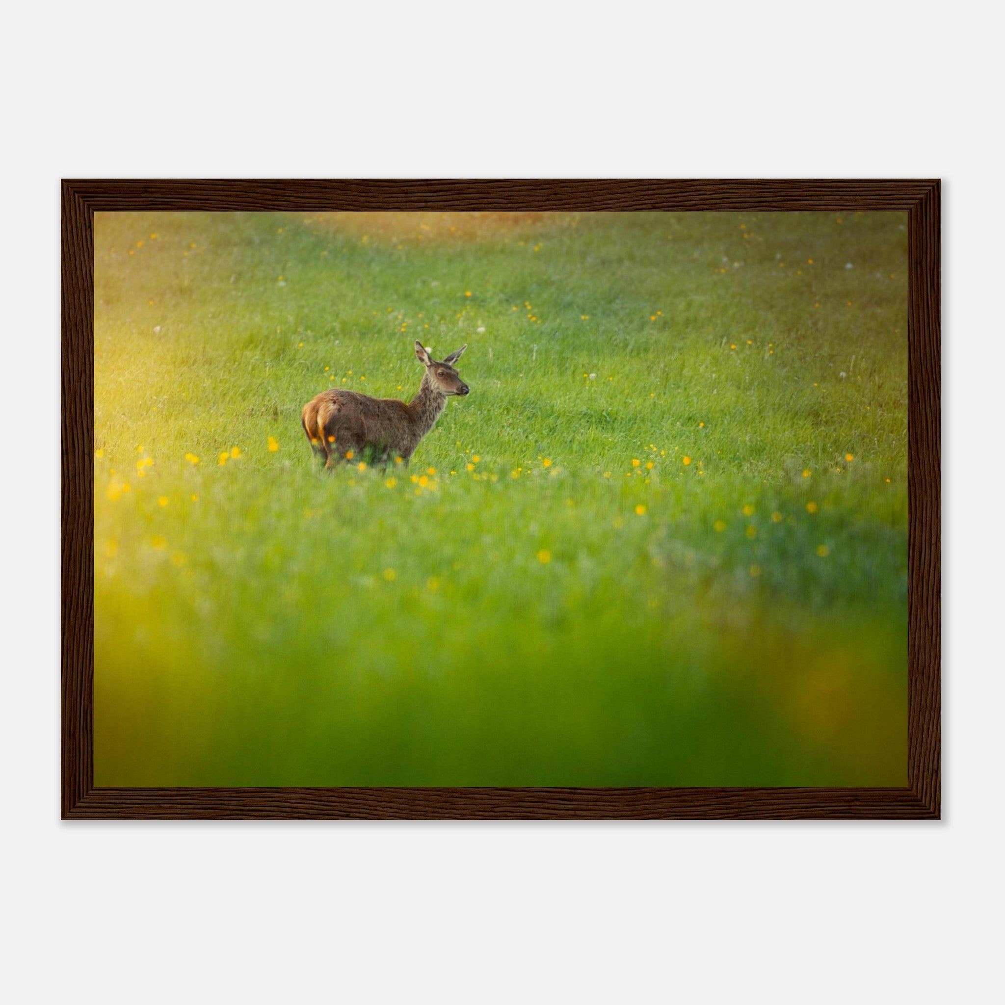 dc0c552e-81c2-47f2-ab6b-e9763f10b7ae