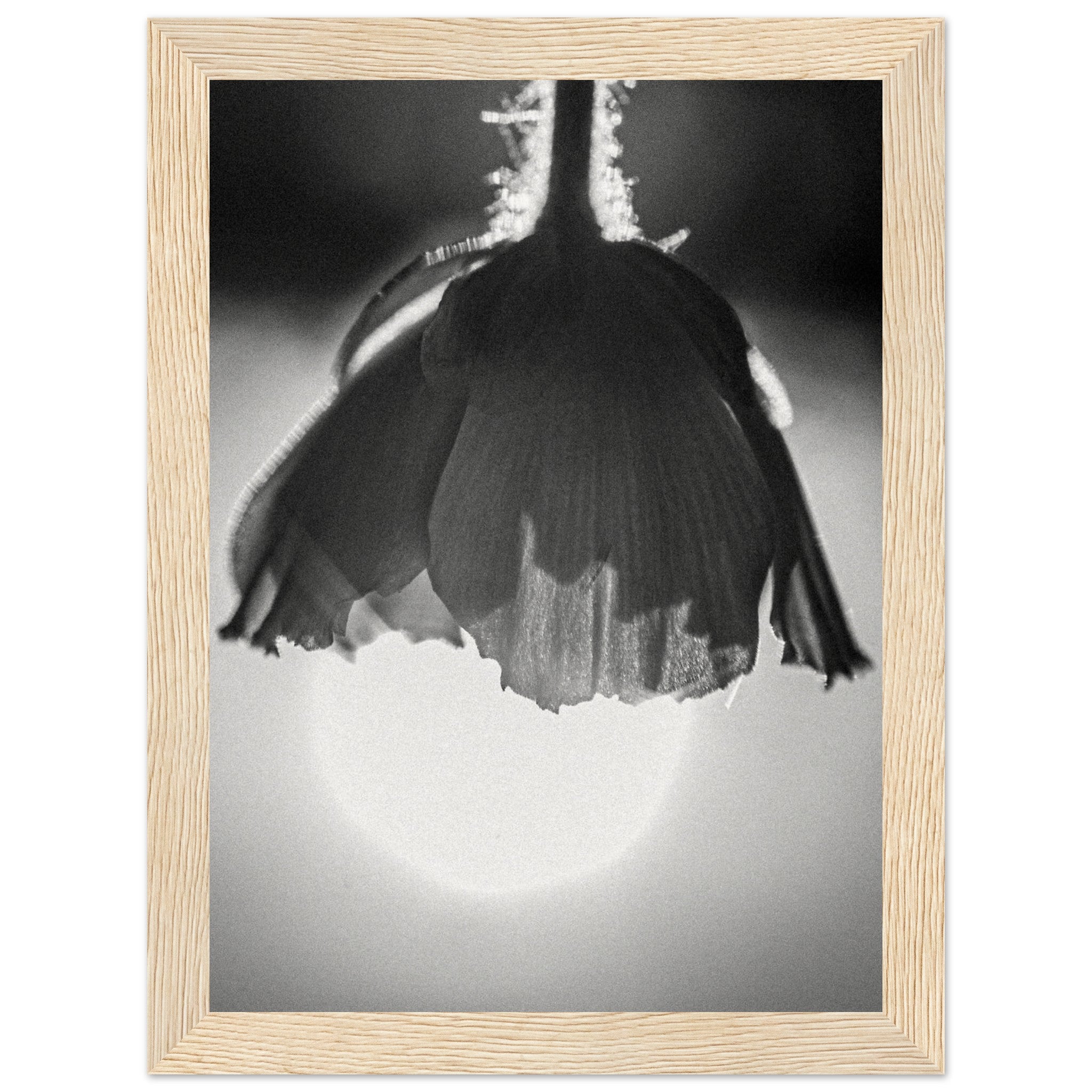 dc38f3ab-1e54-4e12-b781-e234fac3f16c