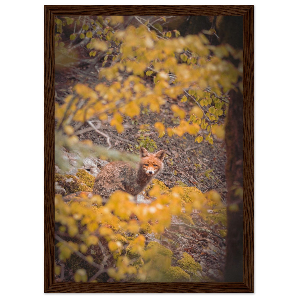 dd89902c-7273-4522-9ec3-95d1c7028557