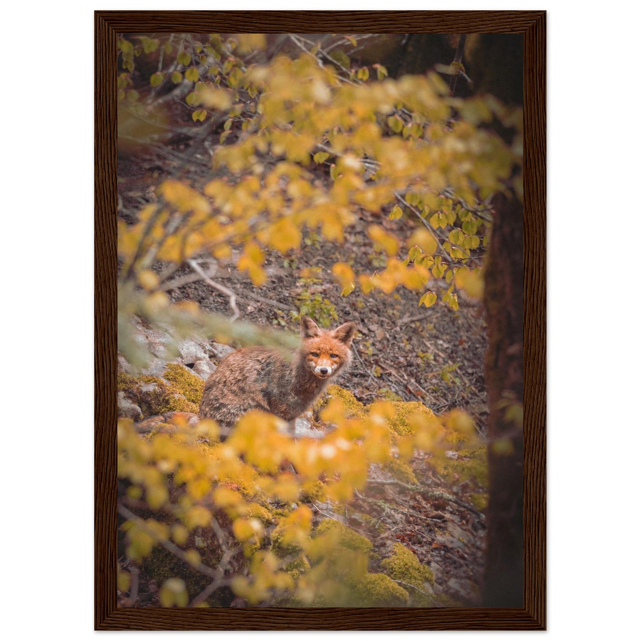 dd89902c-7273-4522-9ec3-95d1c7028557