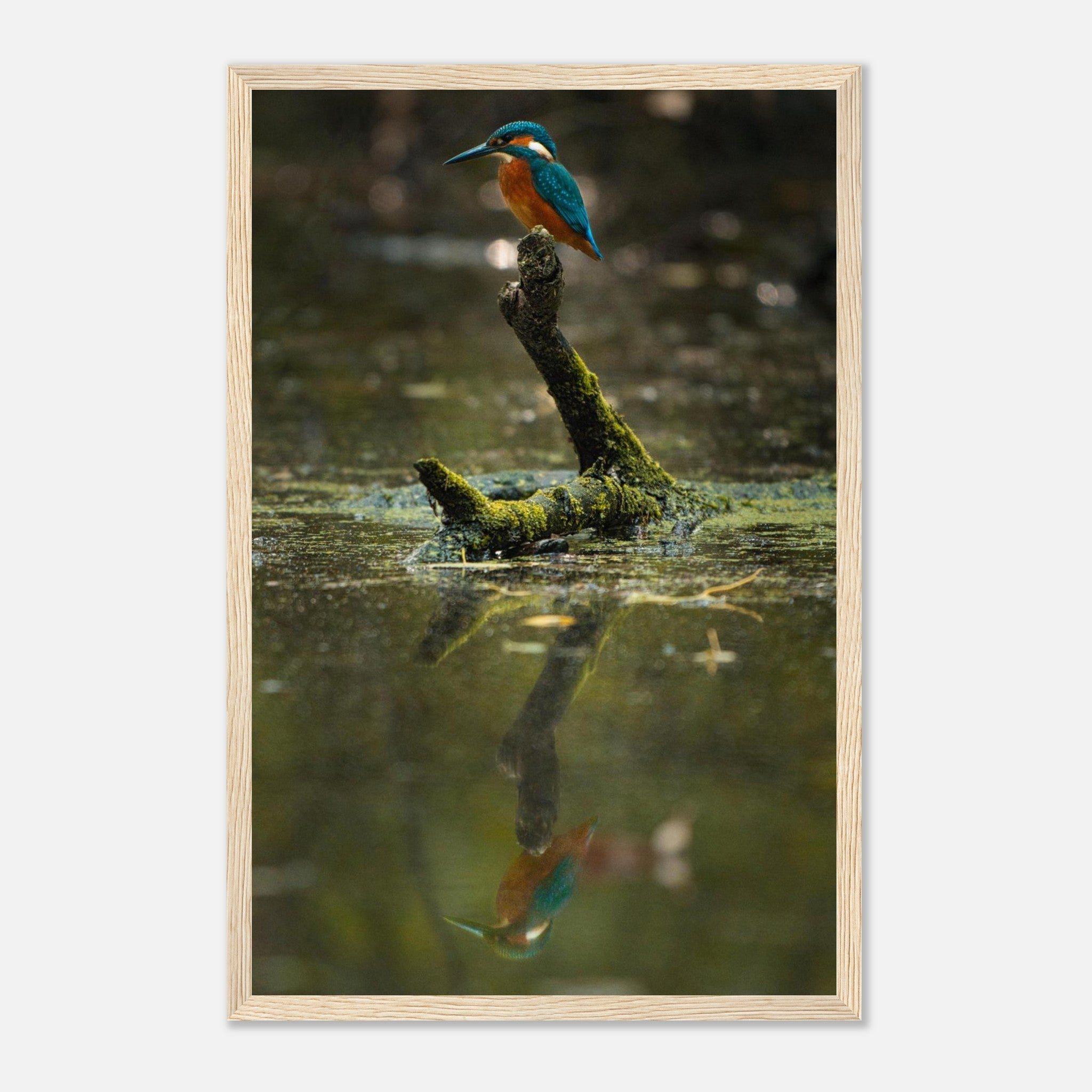 de280995-8709-42b6-87a8-8de17001712a