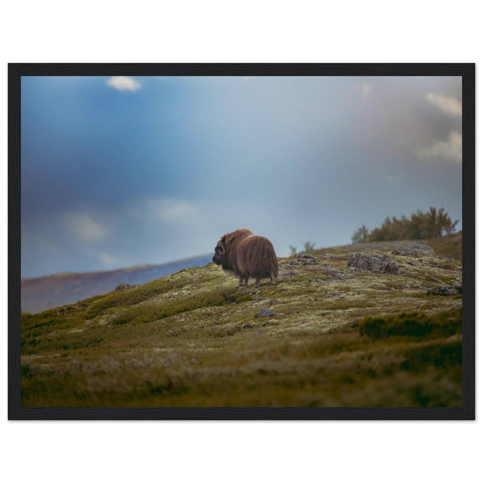 deb7f769-95c4-4ae0-ade5-045f1f31b8b5