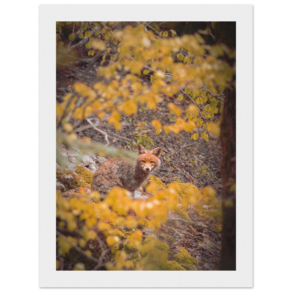 df3d286a-bb5e-4f63-b73b-c48e3d1a583b