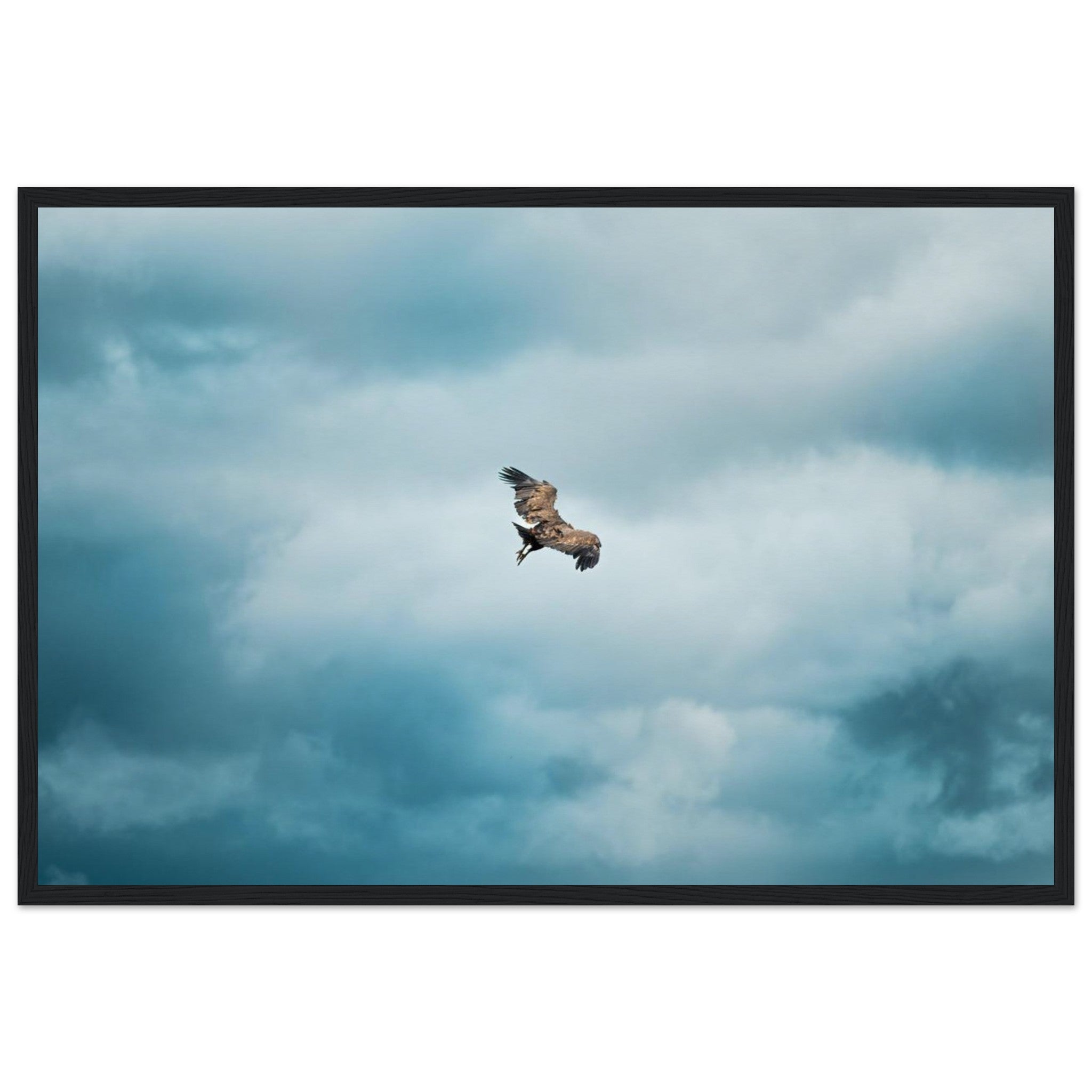 e0e1f5f6-25b9-44c0-9dbf-2e1002f2f56b